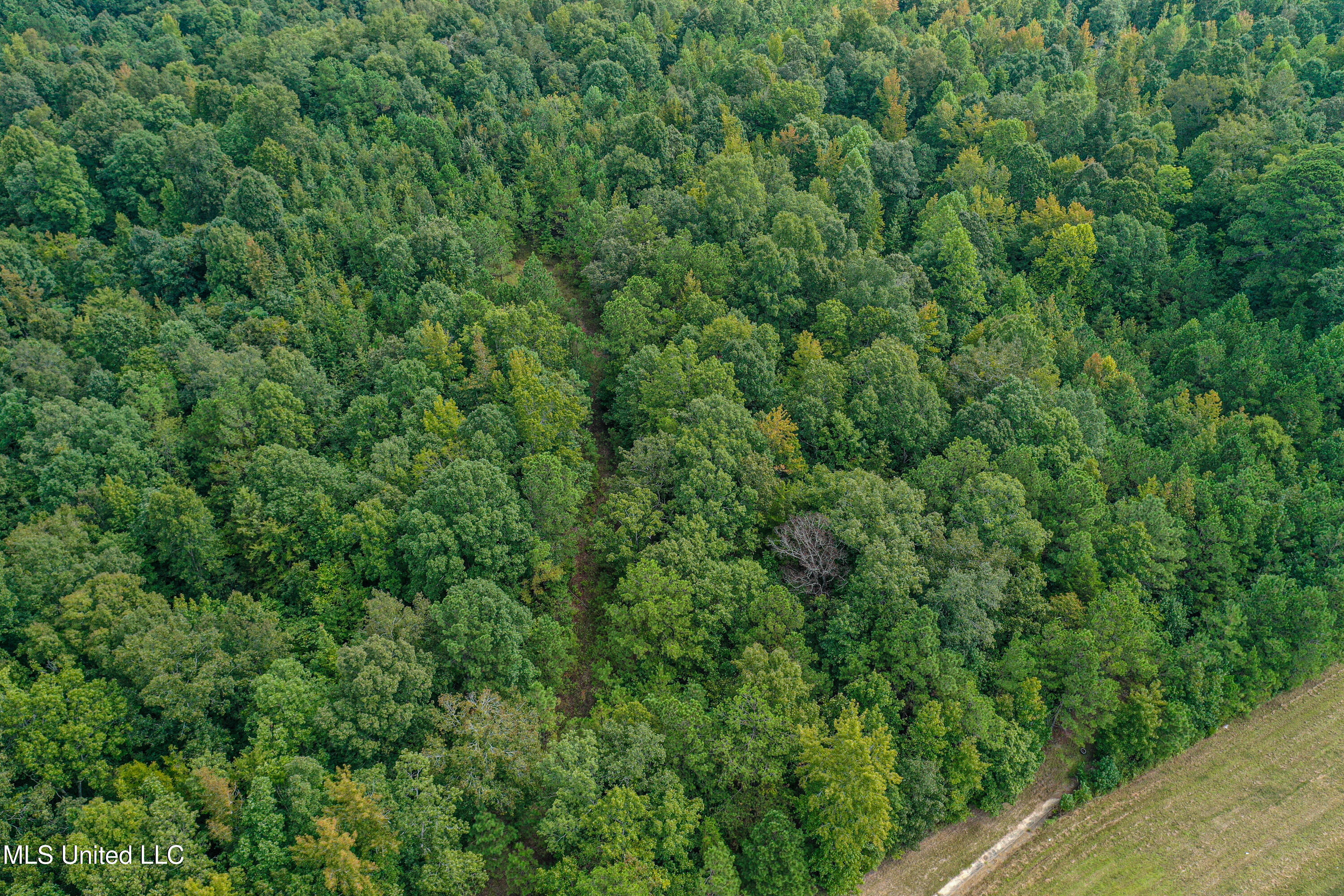 01 Highway 82 Property Photo 29