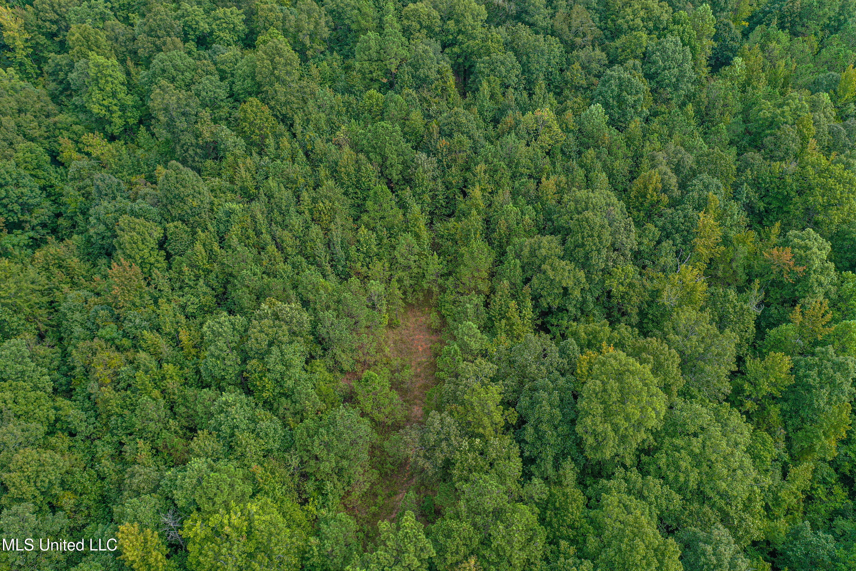01 Highway 82 Property Photo 31
