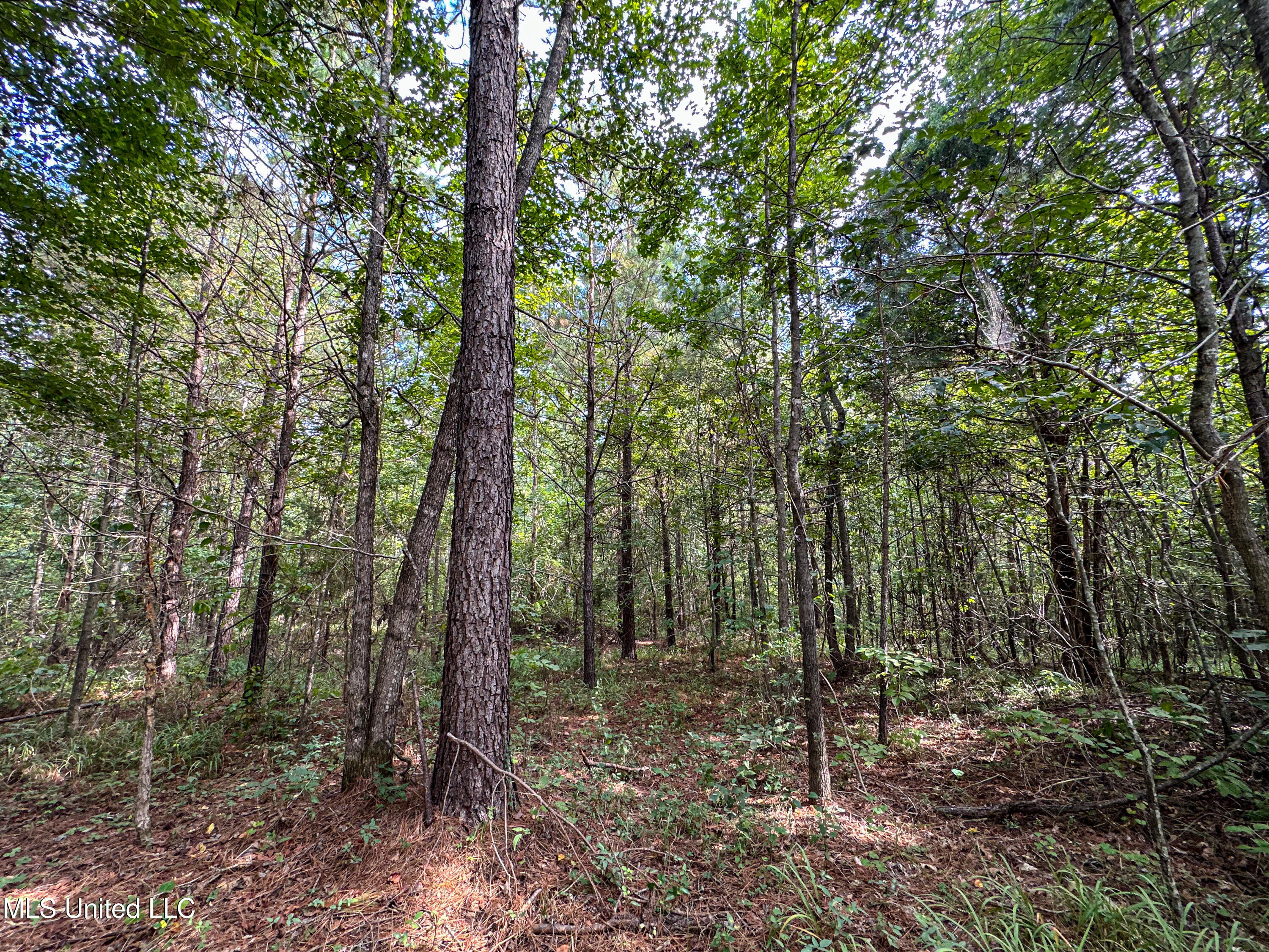 01 Highway 82 Property Photo 32