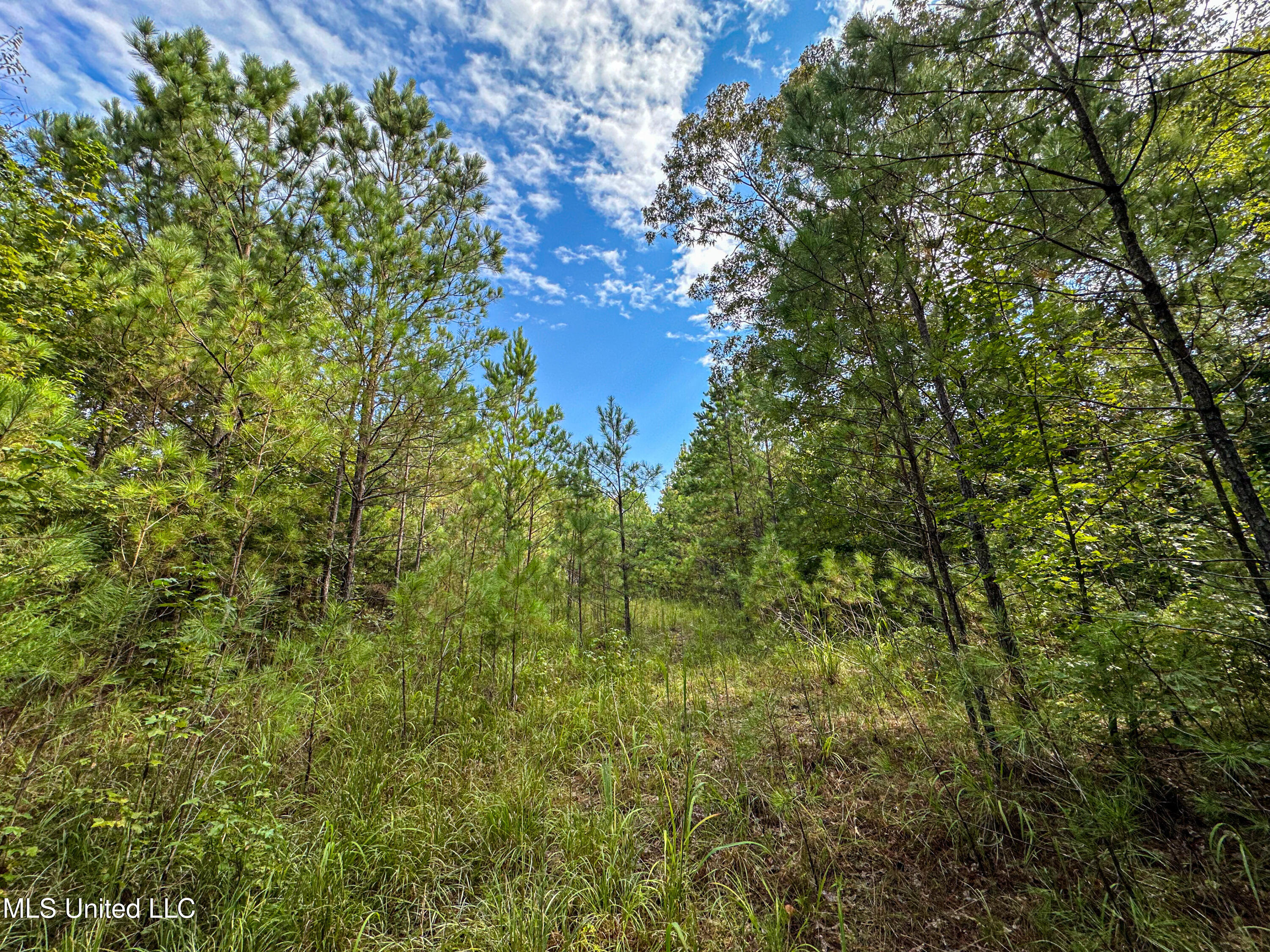 01 Highway 82 Property Photo 33