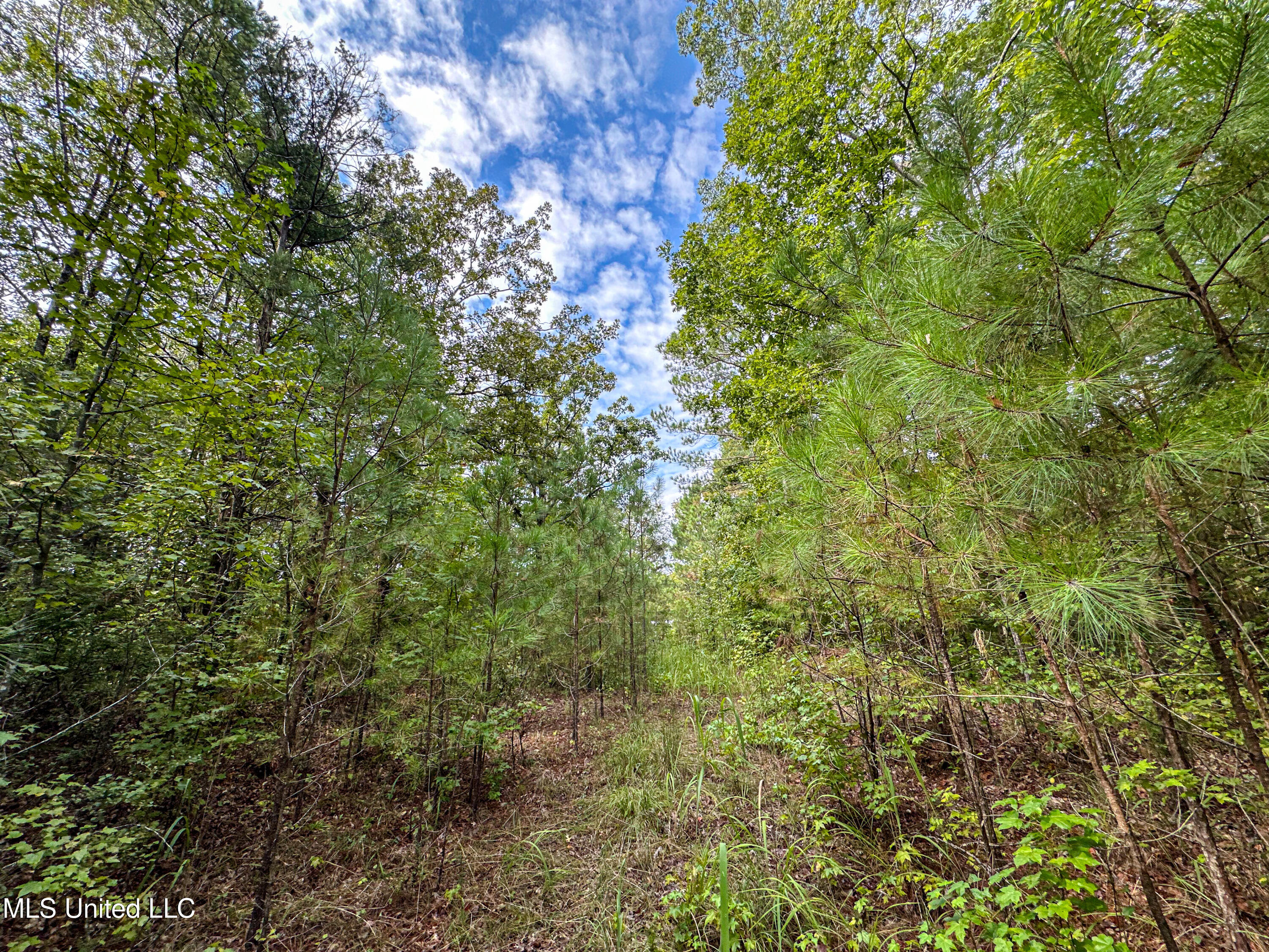 01 Highway 82 Property Photo 34
