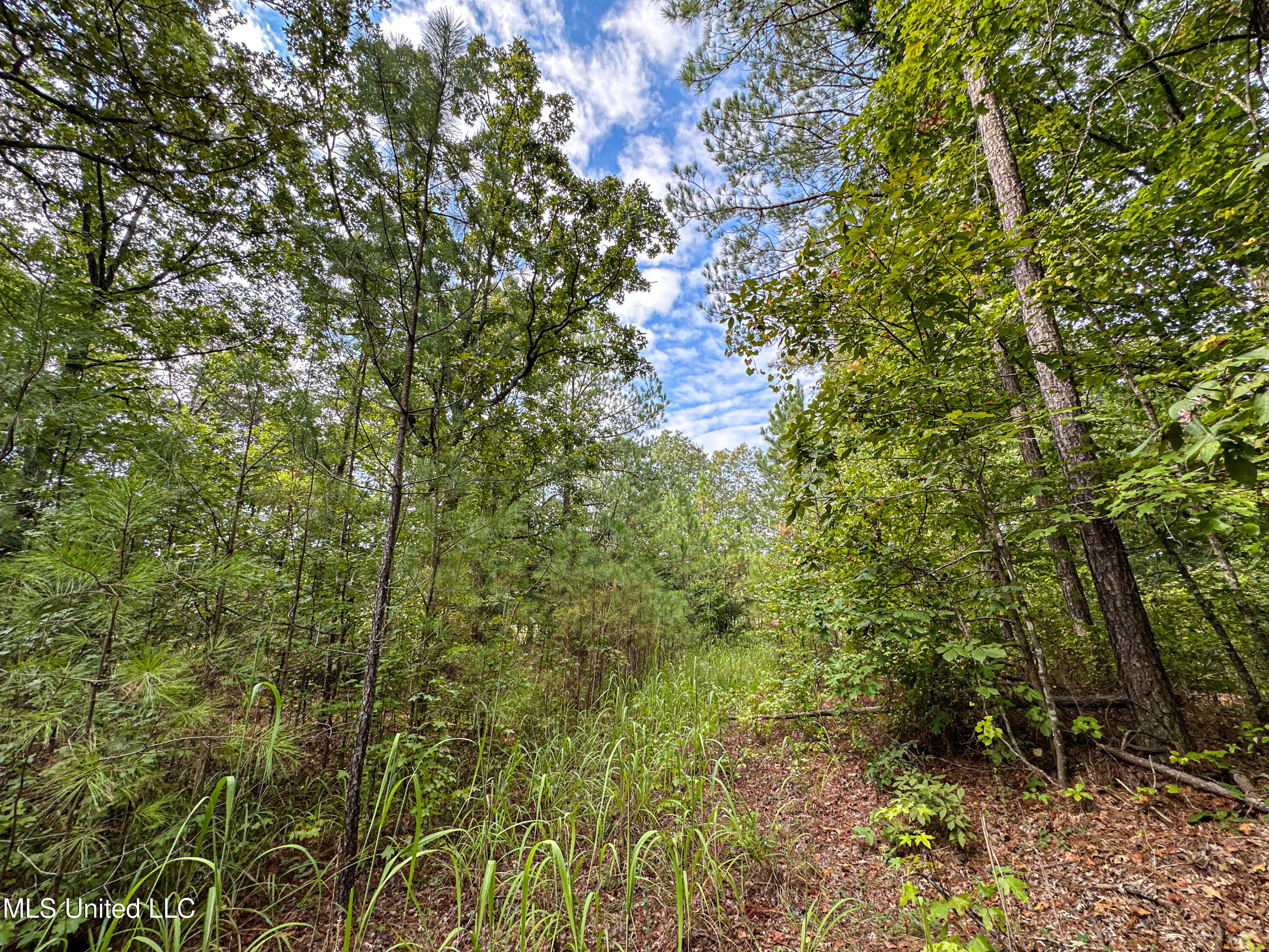 01 Highway 82 Property Photo 35