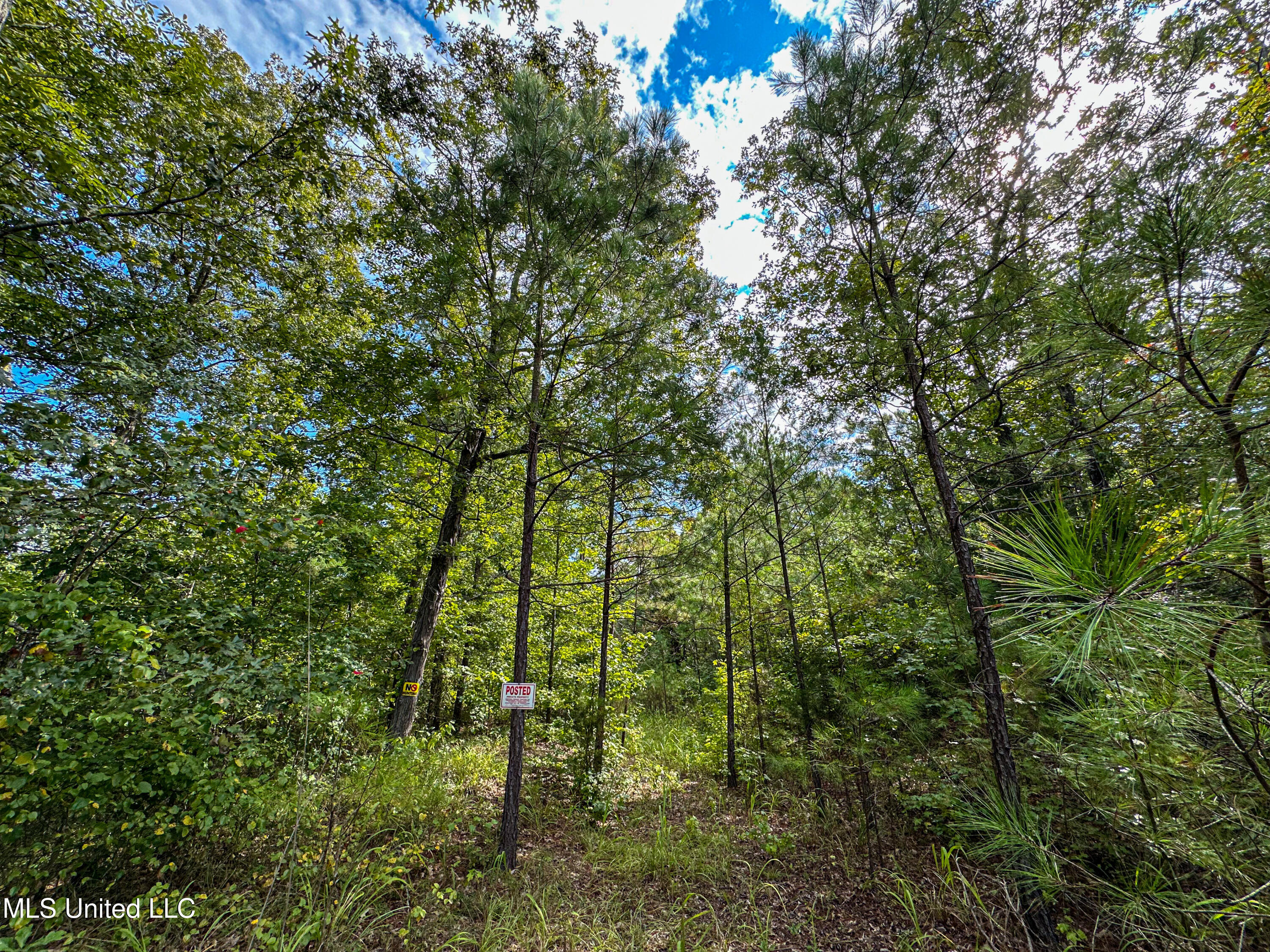 01 Highway 82 Property Photo 36