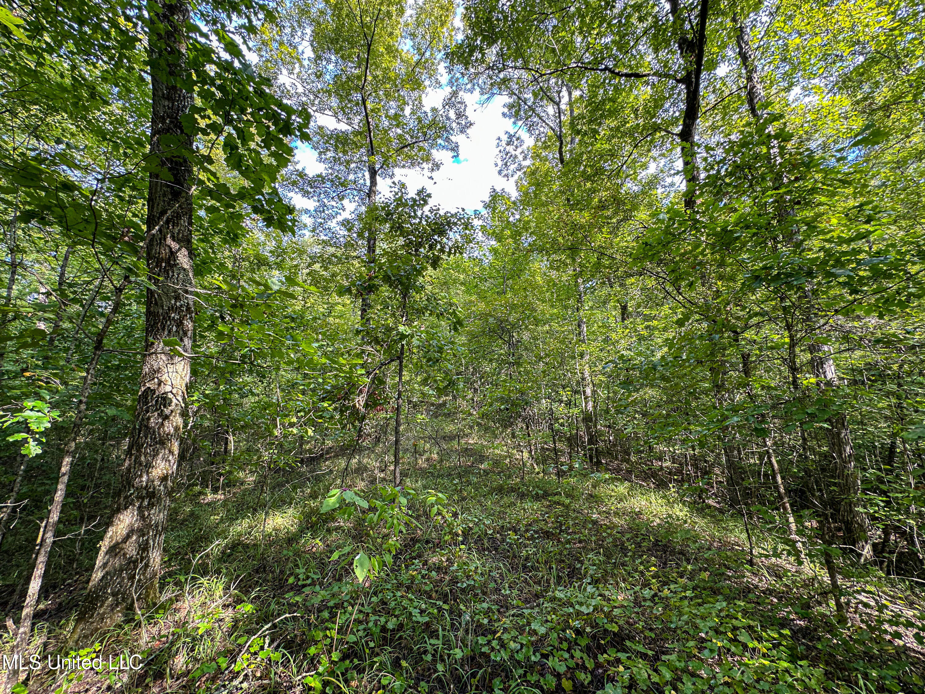 01 Highway 82 Property Photo 38