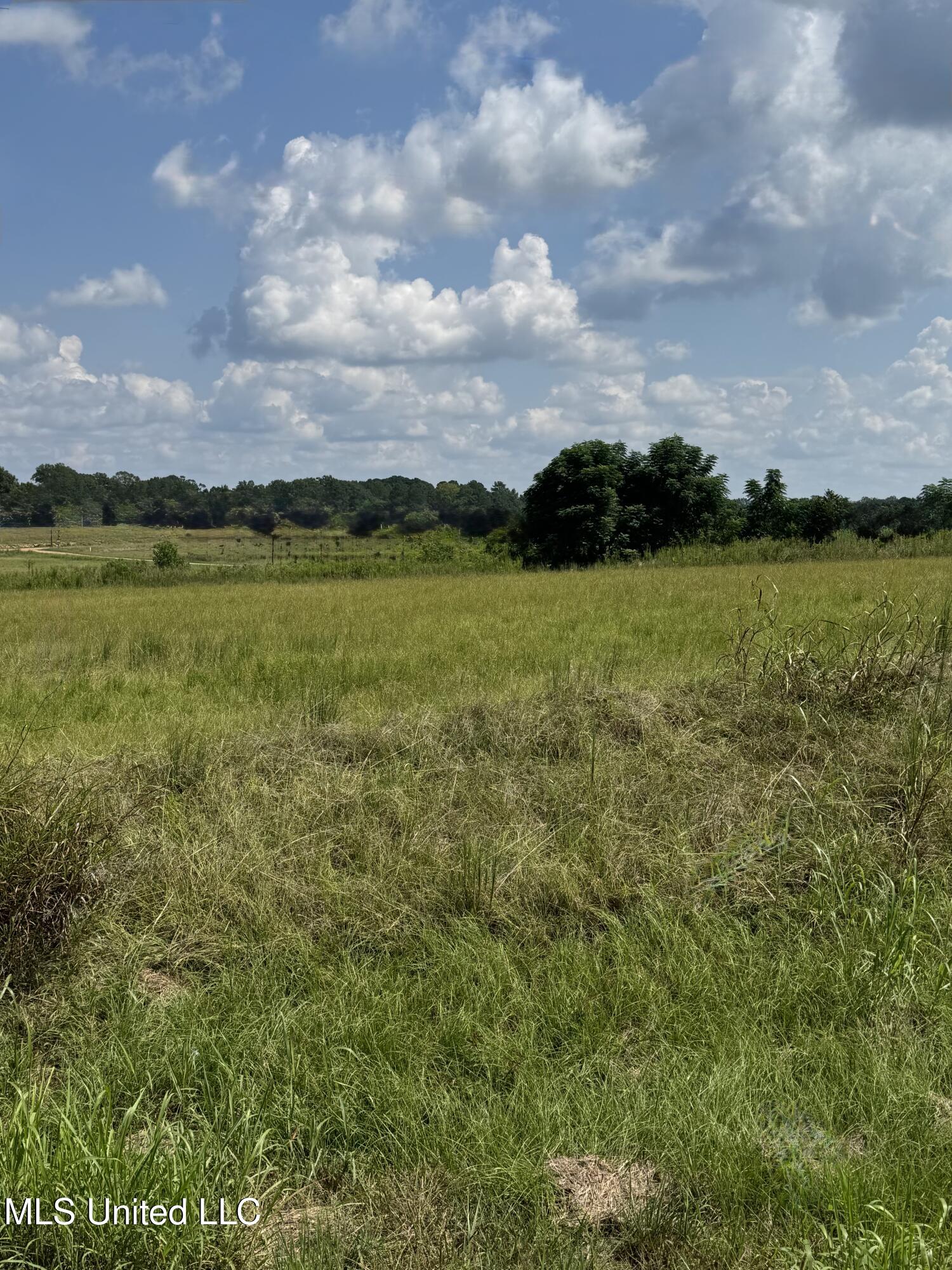 C4 Ms-16 Property Photo 3