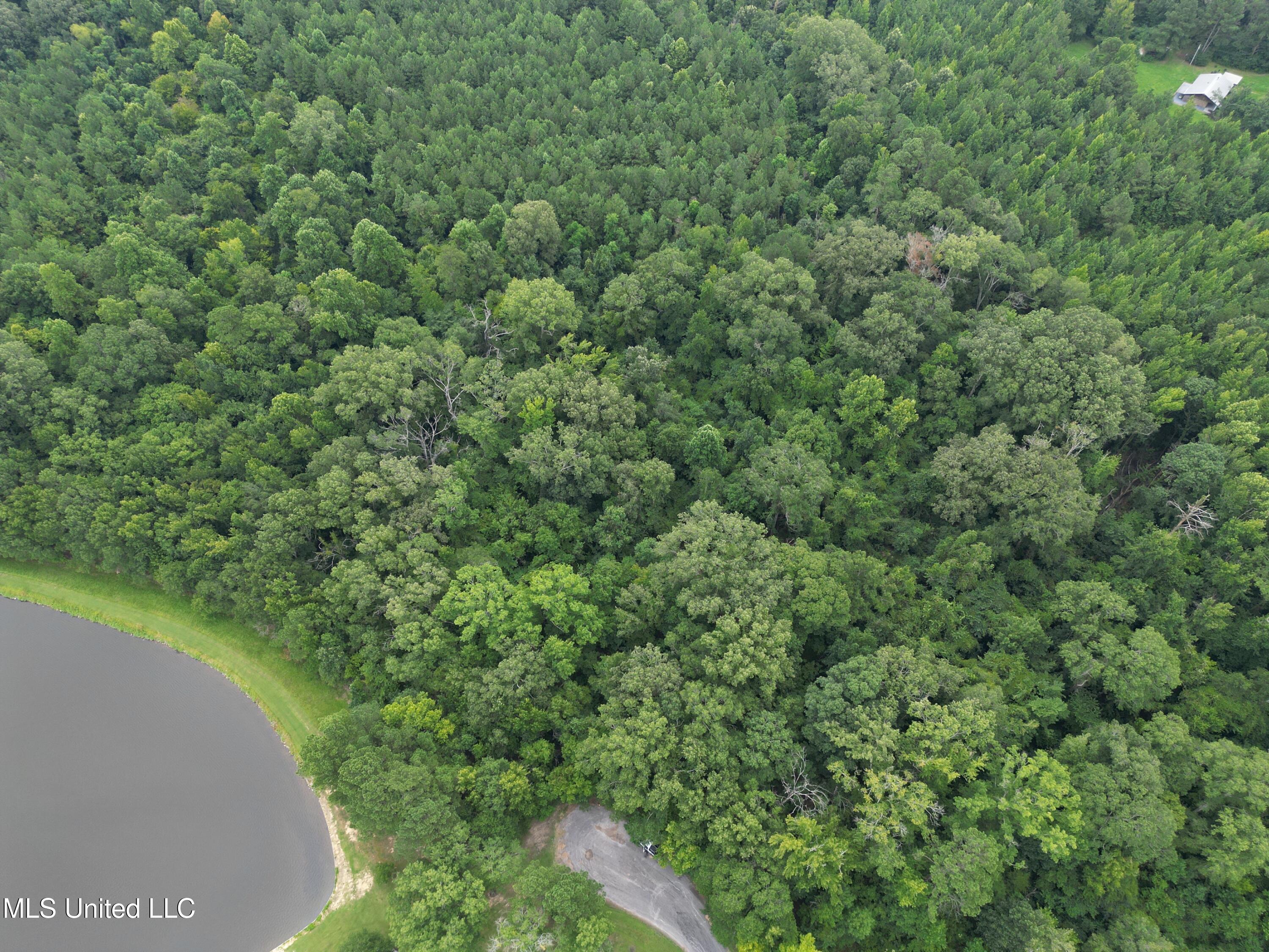 Pine Lake Property Photo 1