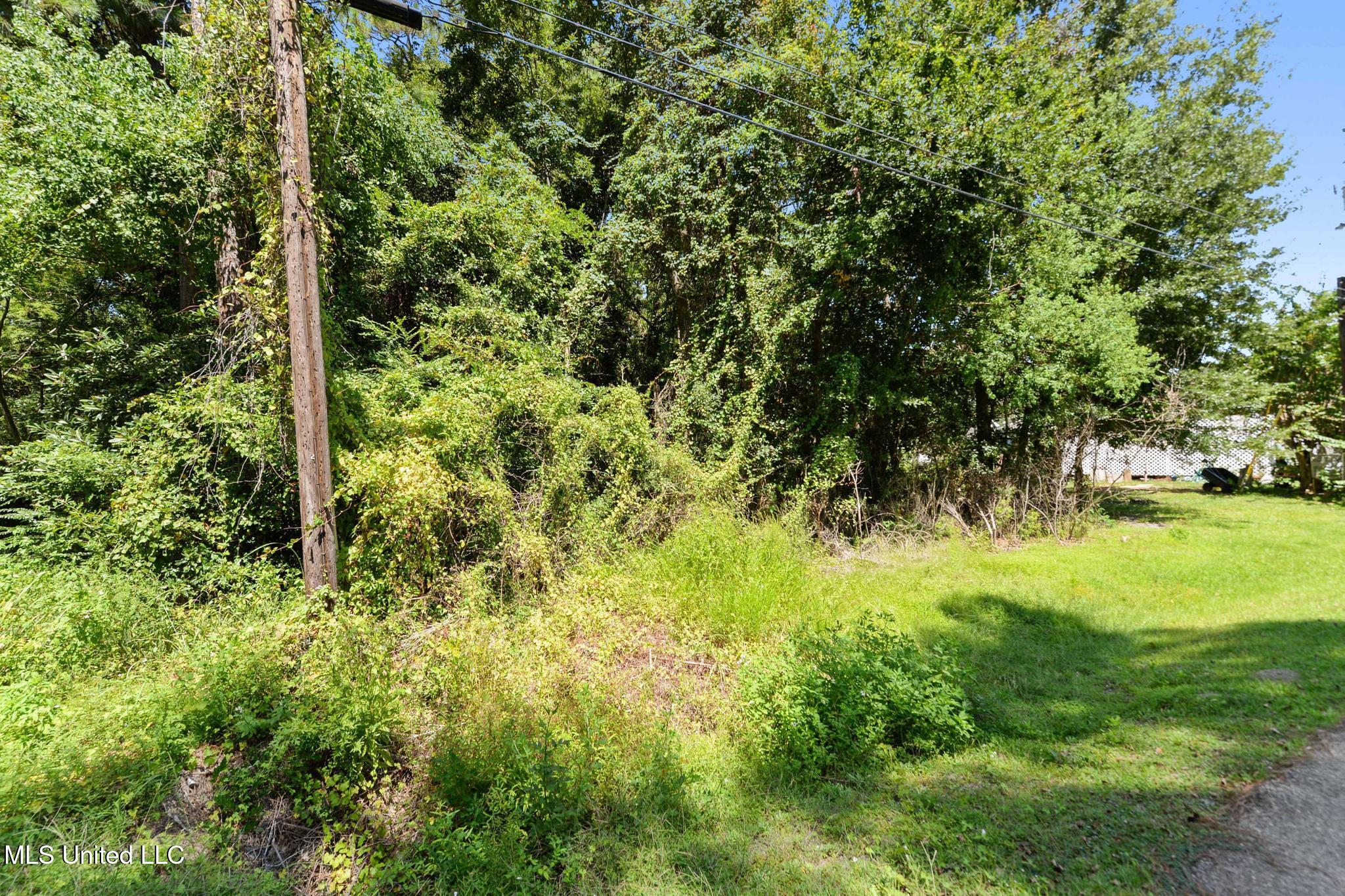 0 Sandpiper Lane Property Photo 11