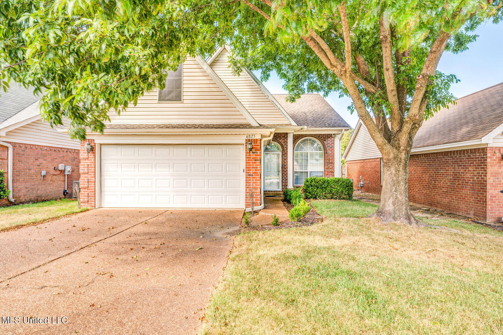 6825 Charlotte Drive Property Photo 1