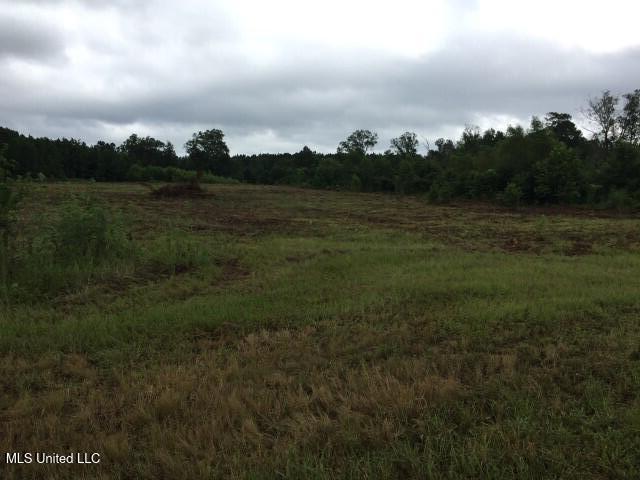 0 Highway 80 Highway Property Photo 4