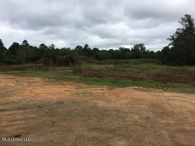 0 Highway 80 Highway Property Photo 2