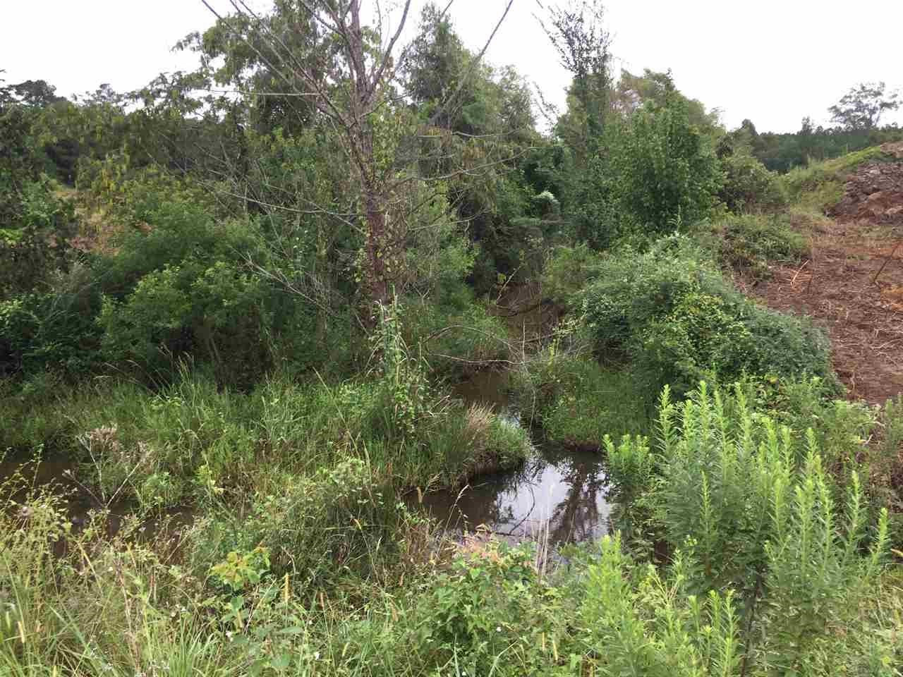 0 Highway 80 Highway Property Photo 3