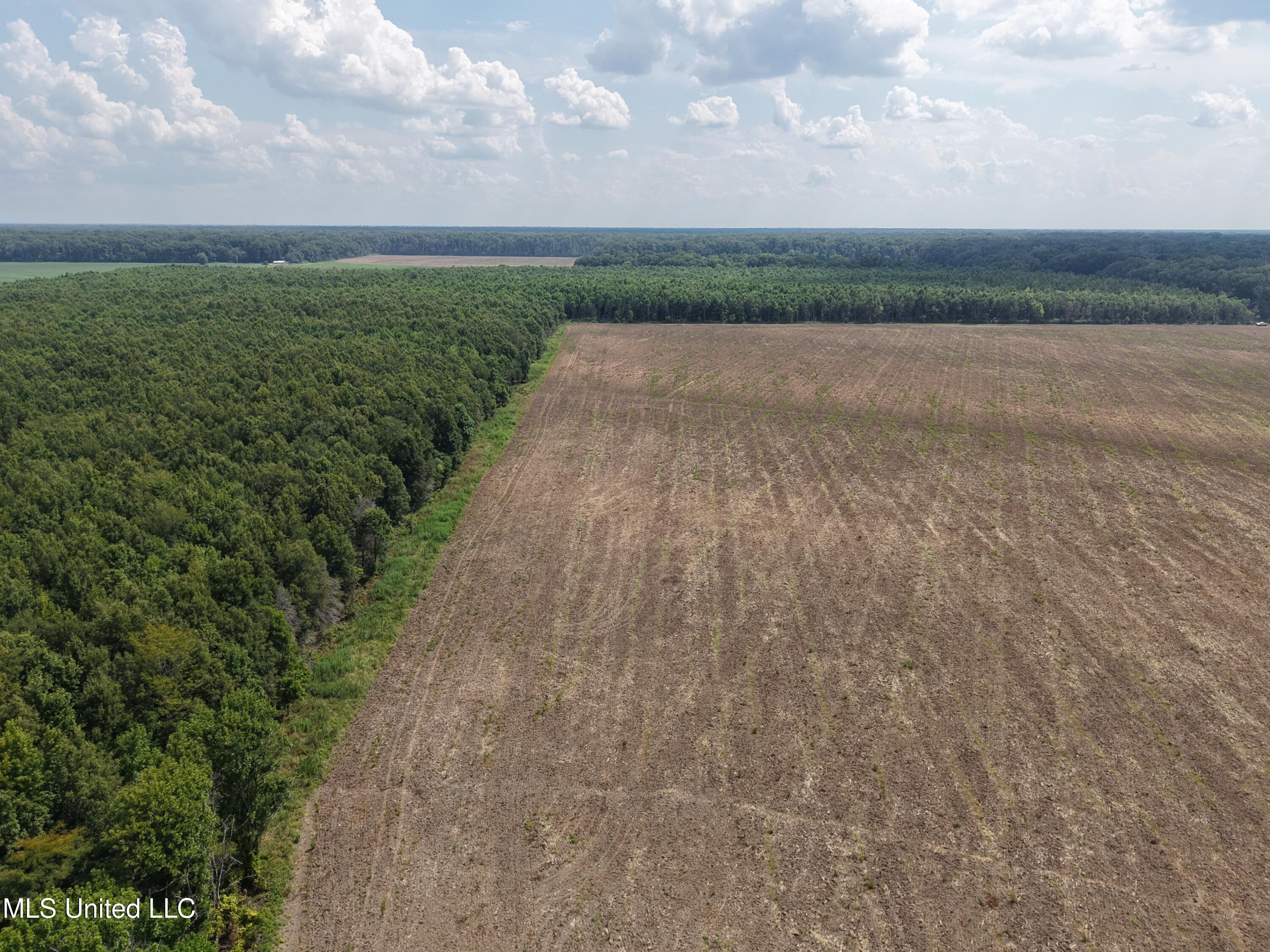 Dawling Bayou Road Property Photo 4