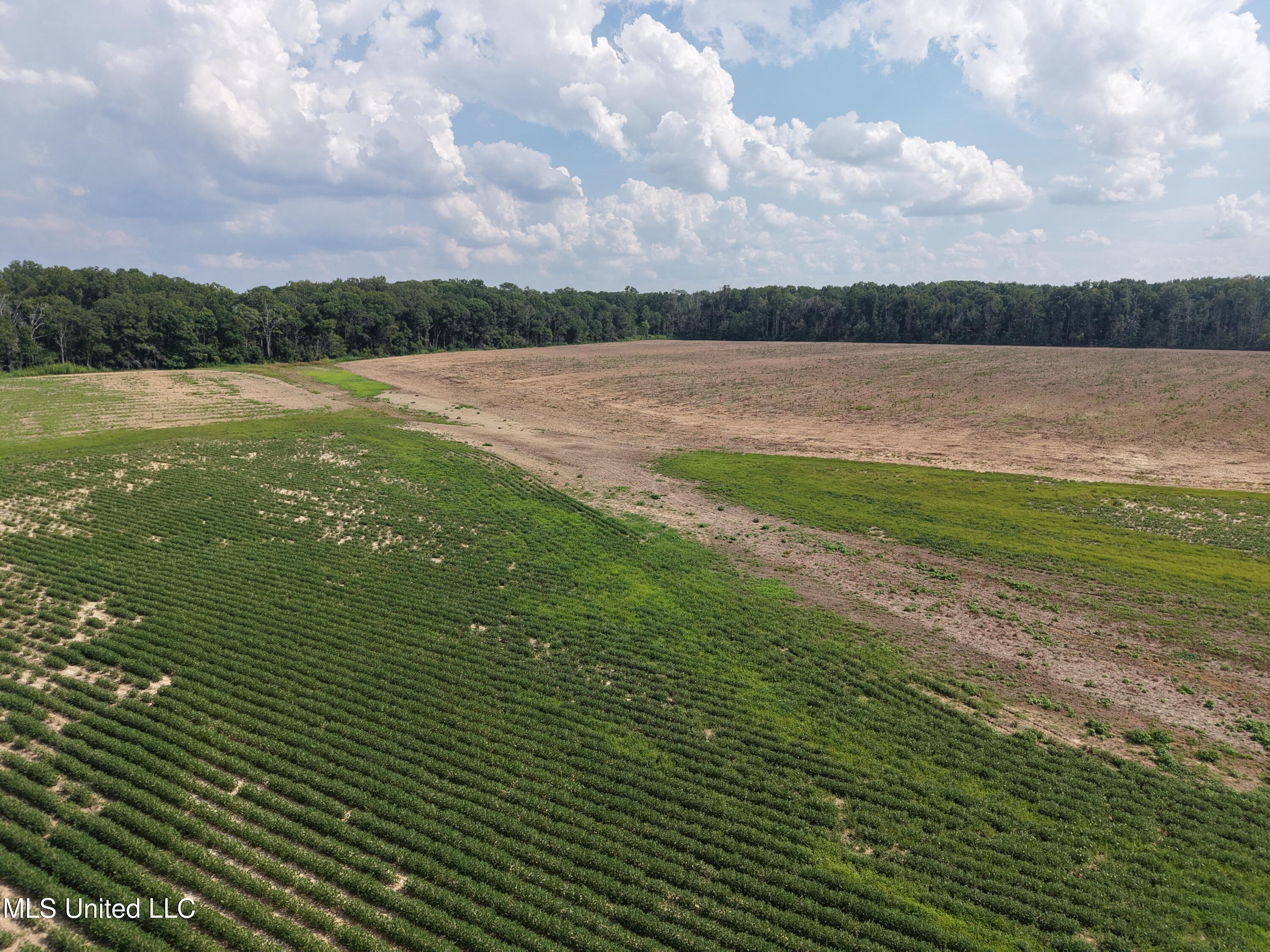 Dawling Bayou Road Property Photo 7