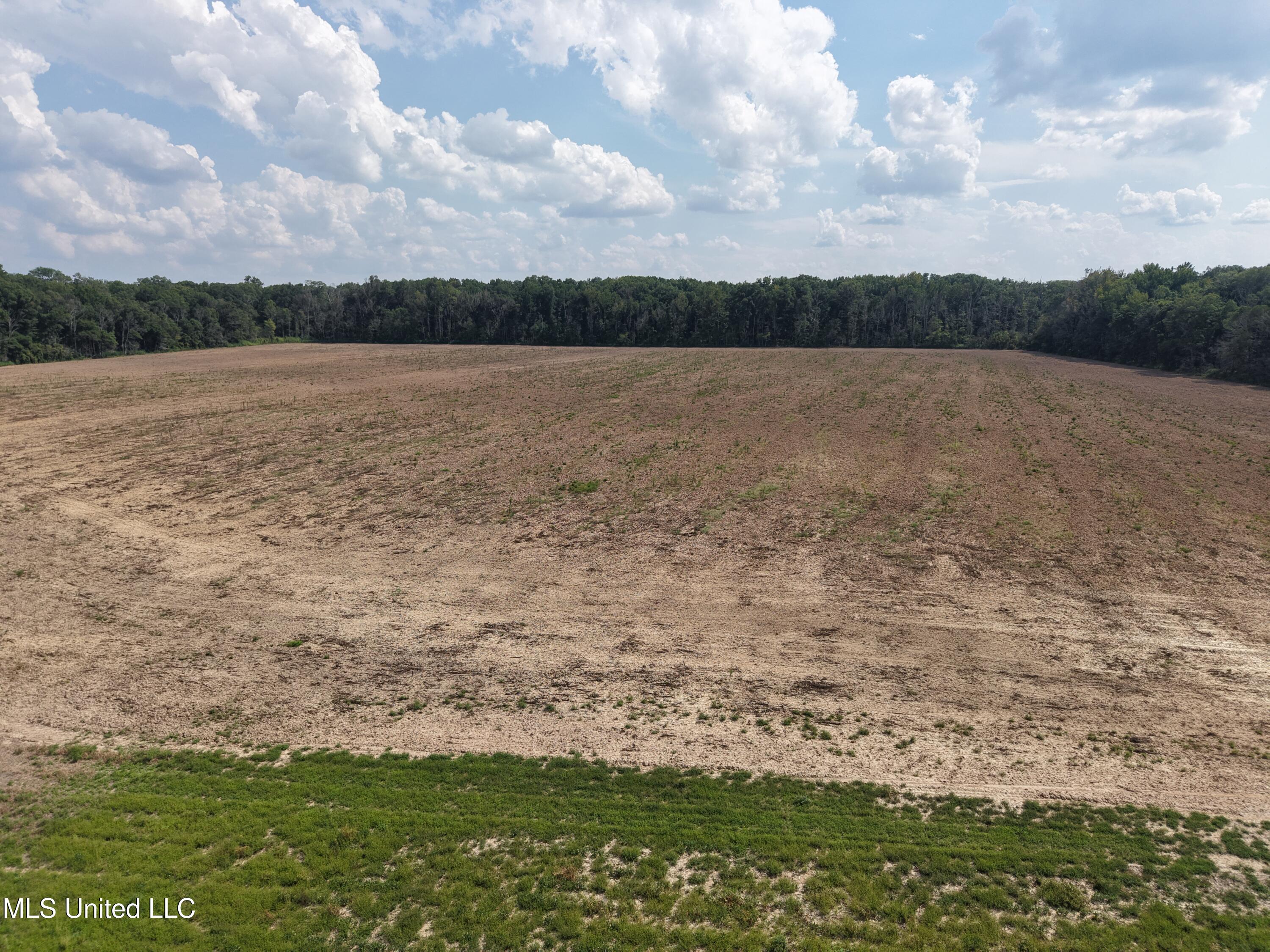 Dawling Bayou Road Property Photo 8