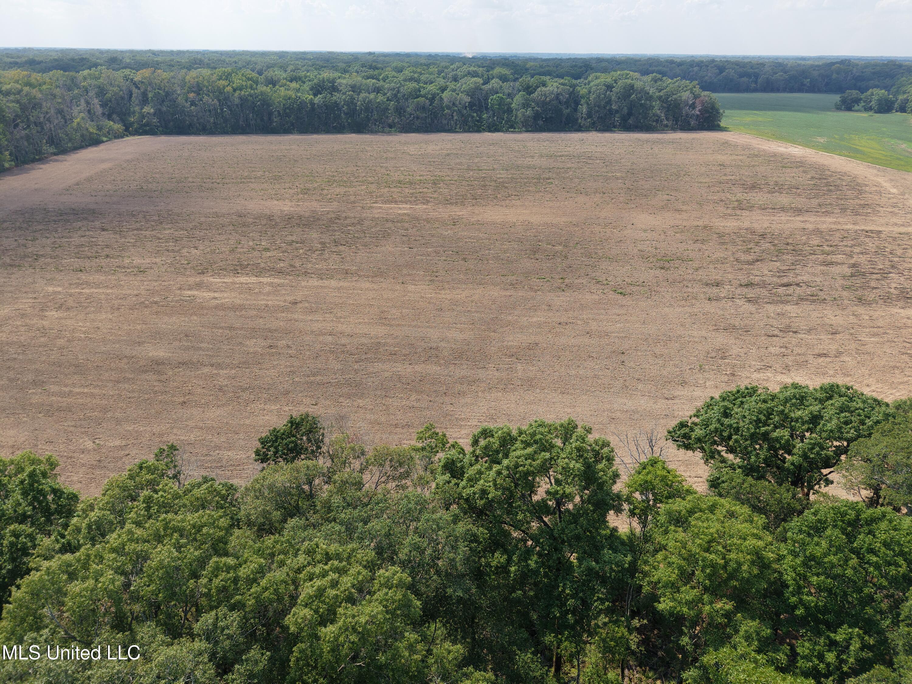 Dawling Bayou Road Property Photo 9