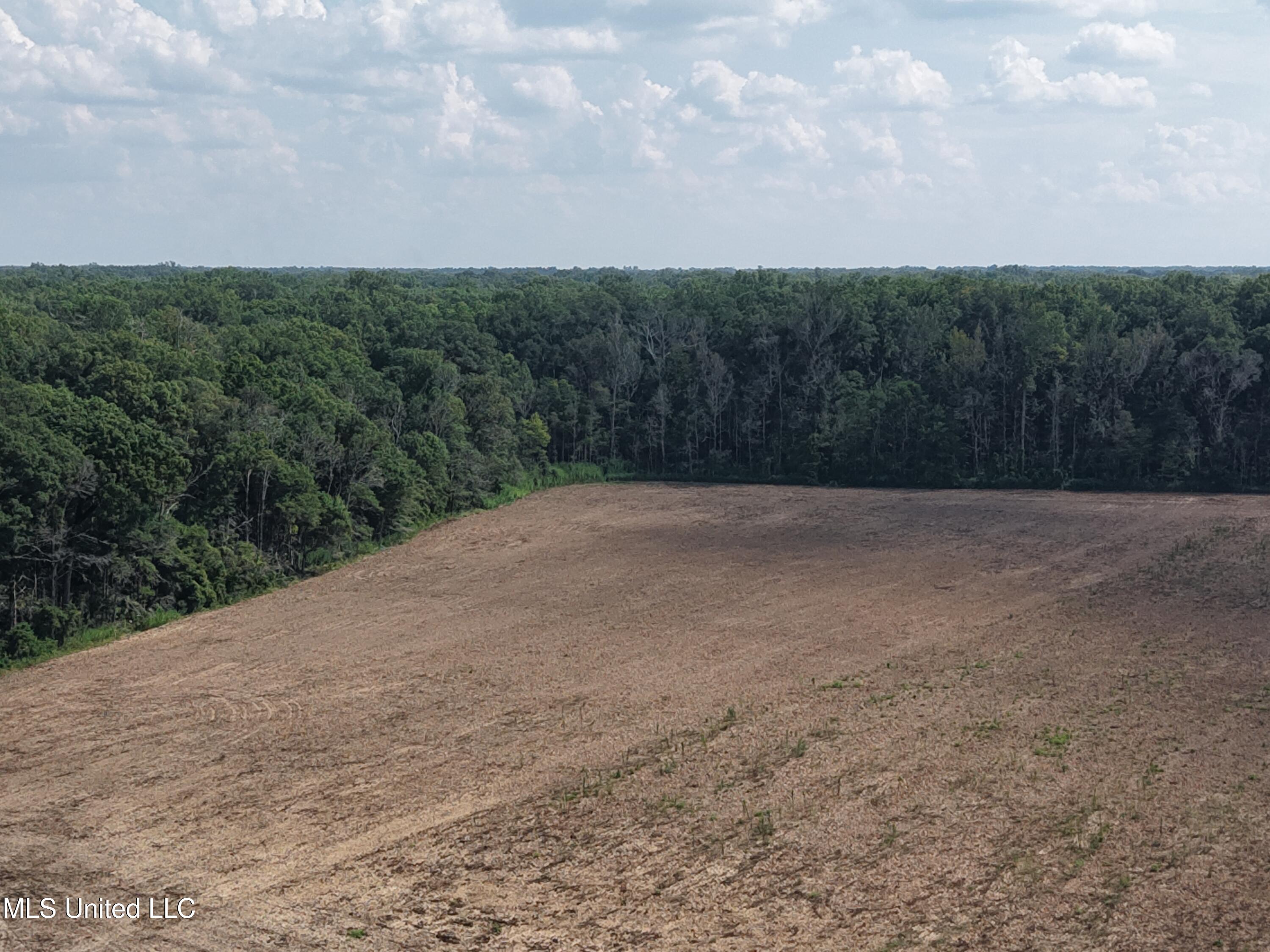 Dawling Bayou Road Property Photo 11