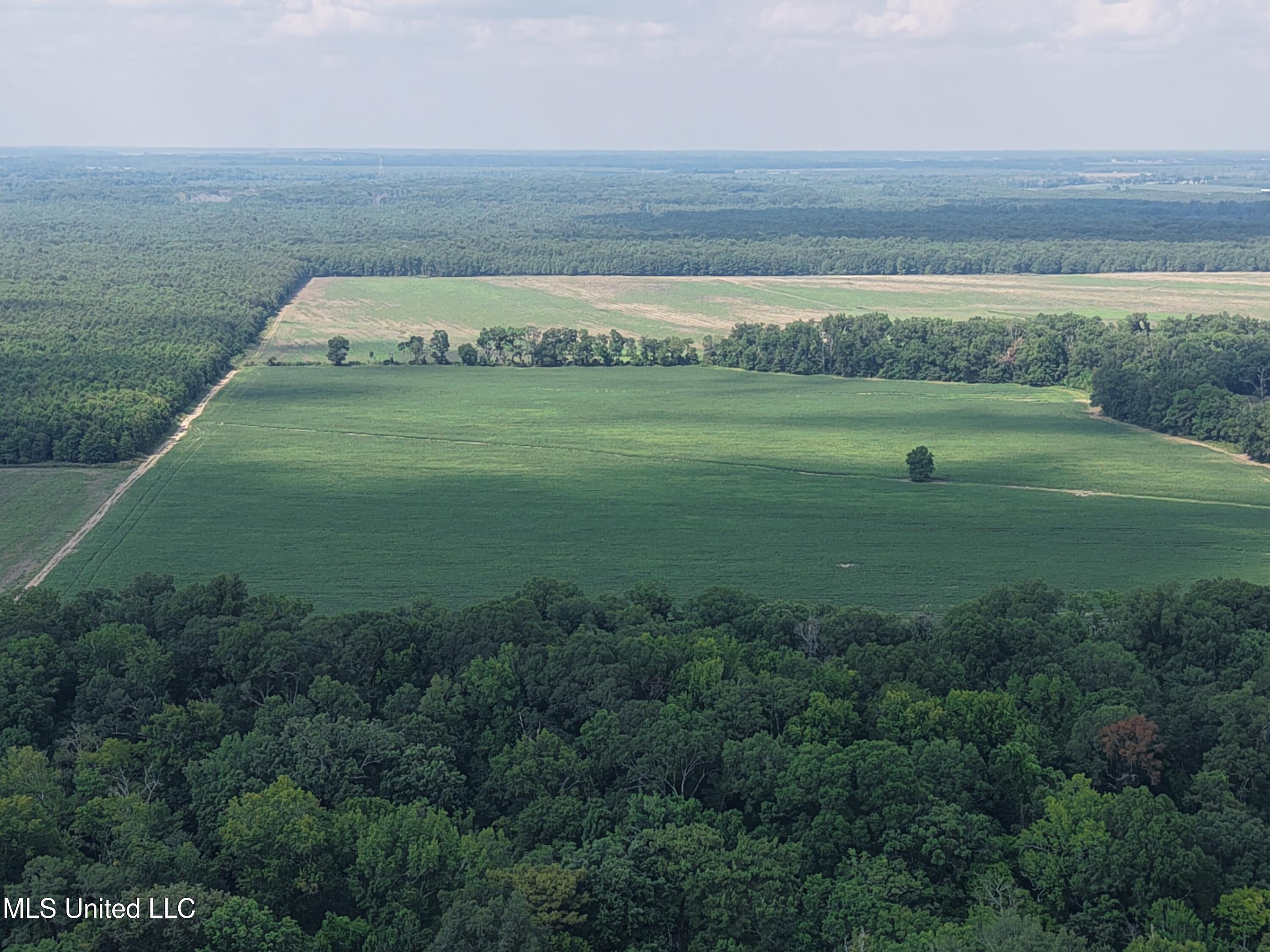 Dawling Bayou Road Property Photo 14