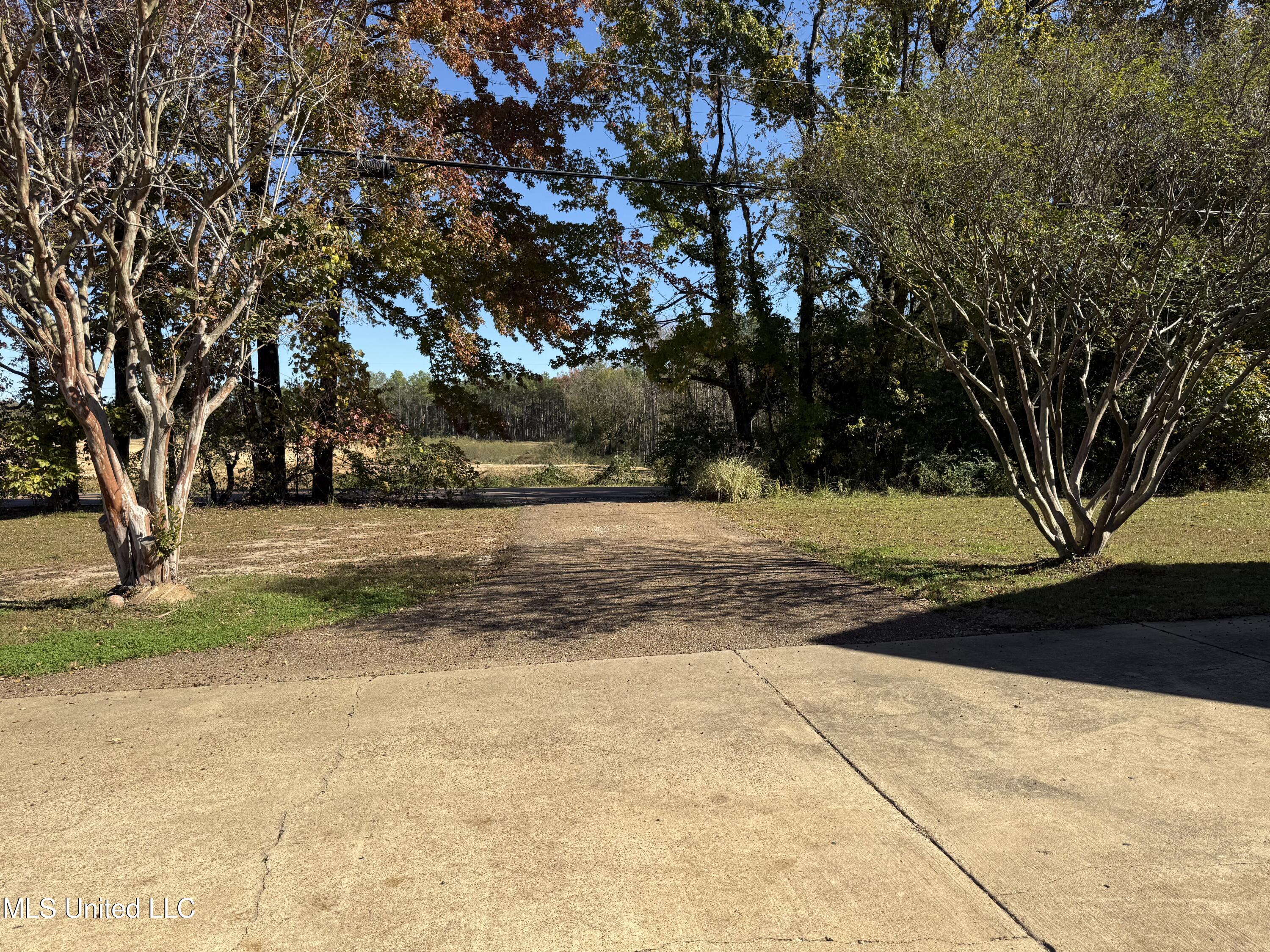 1999 Edgewood Boulevard Property Photo 6