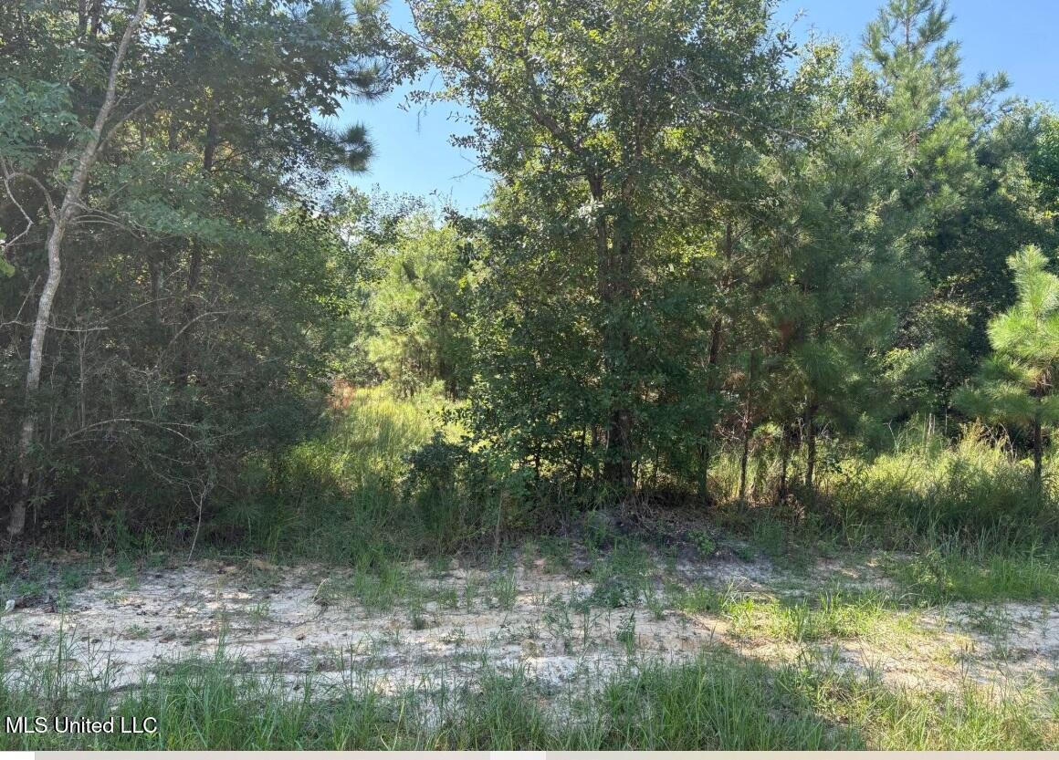 Winding Way Drive Property Photo 2