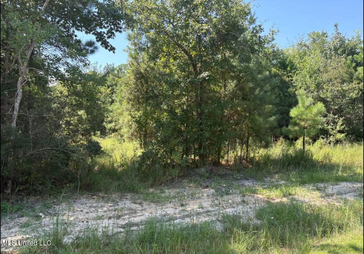 Winding Way Drive Property Photo 3