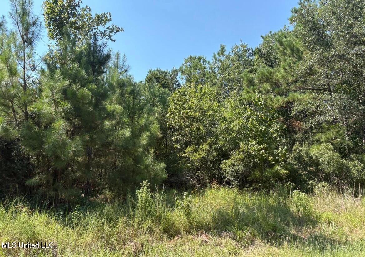 Winding Way Drive Property Photo 4