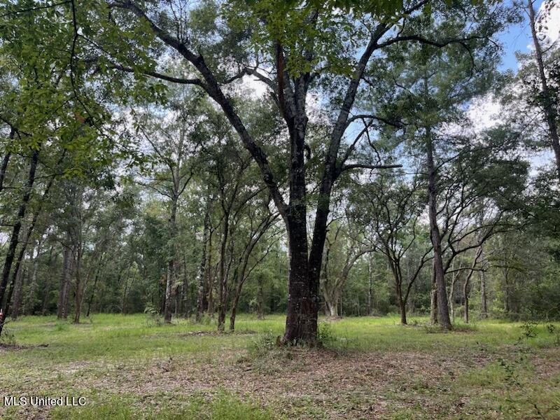 Tanner Williams Road Property Photo 4