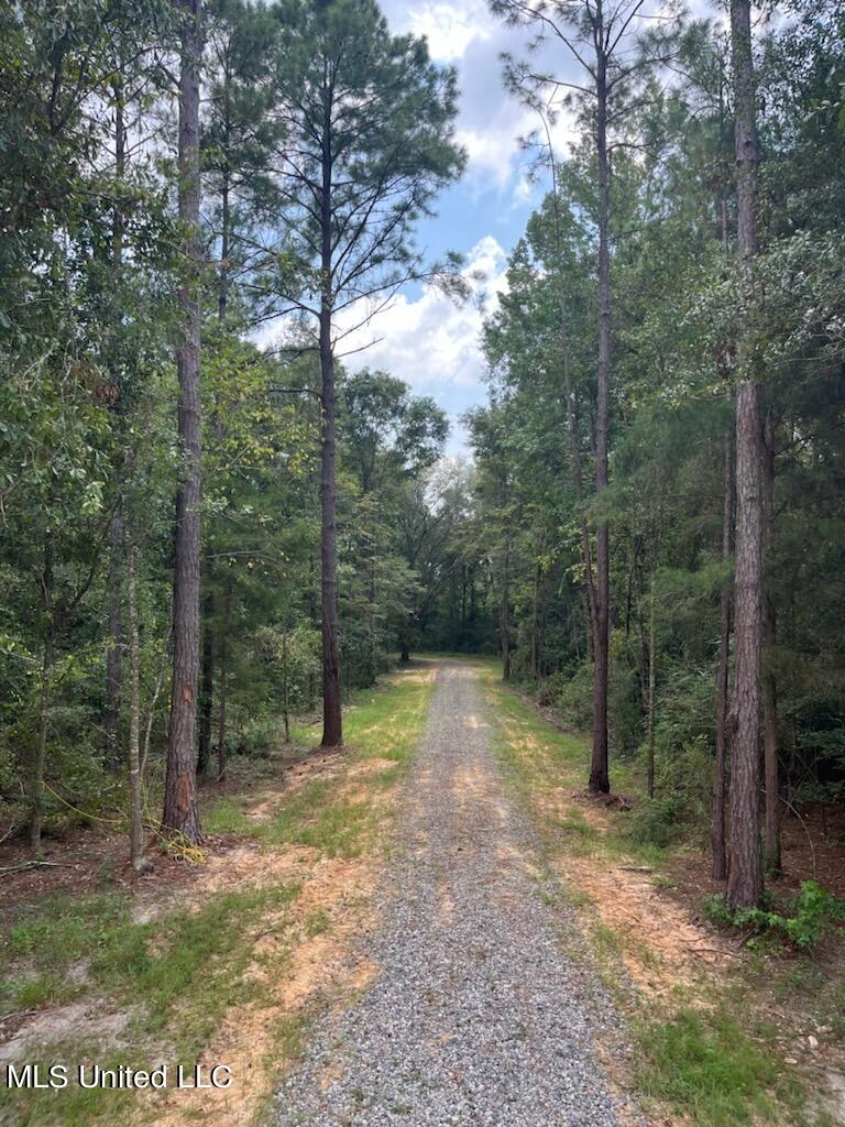Tanner Williams Road Property Photo 5