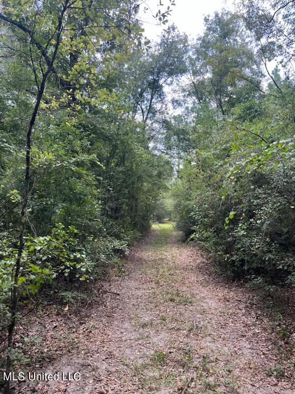 Tanner Williams Road Property Photo 6