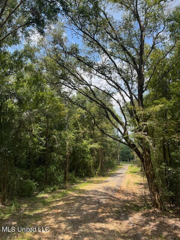 Tanner Williams Road Property Photo 7