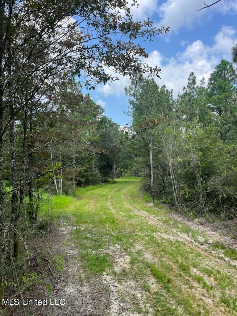 Tanner Williams Road Property Photo 8
