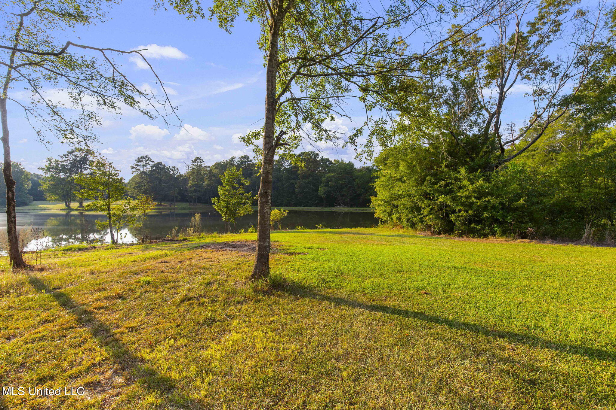 353 Flinco Farms Road Property Photo 83