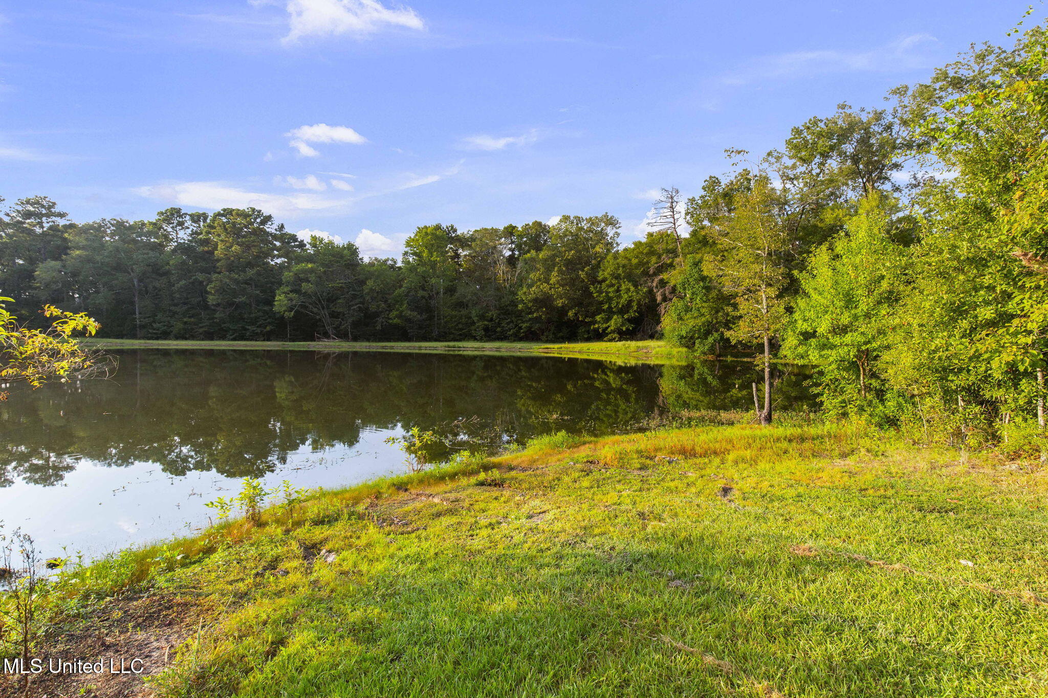 353 Flinco Farms Road Property Photo 84