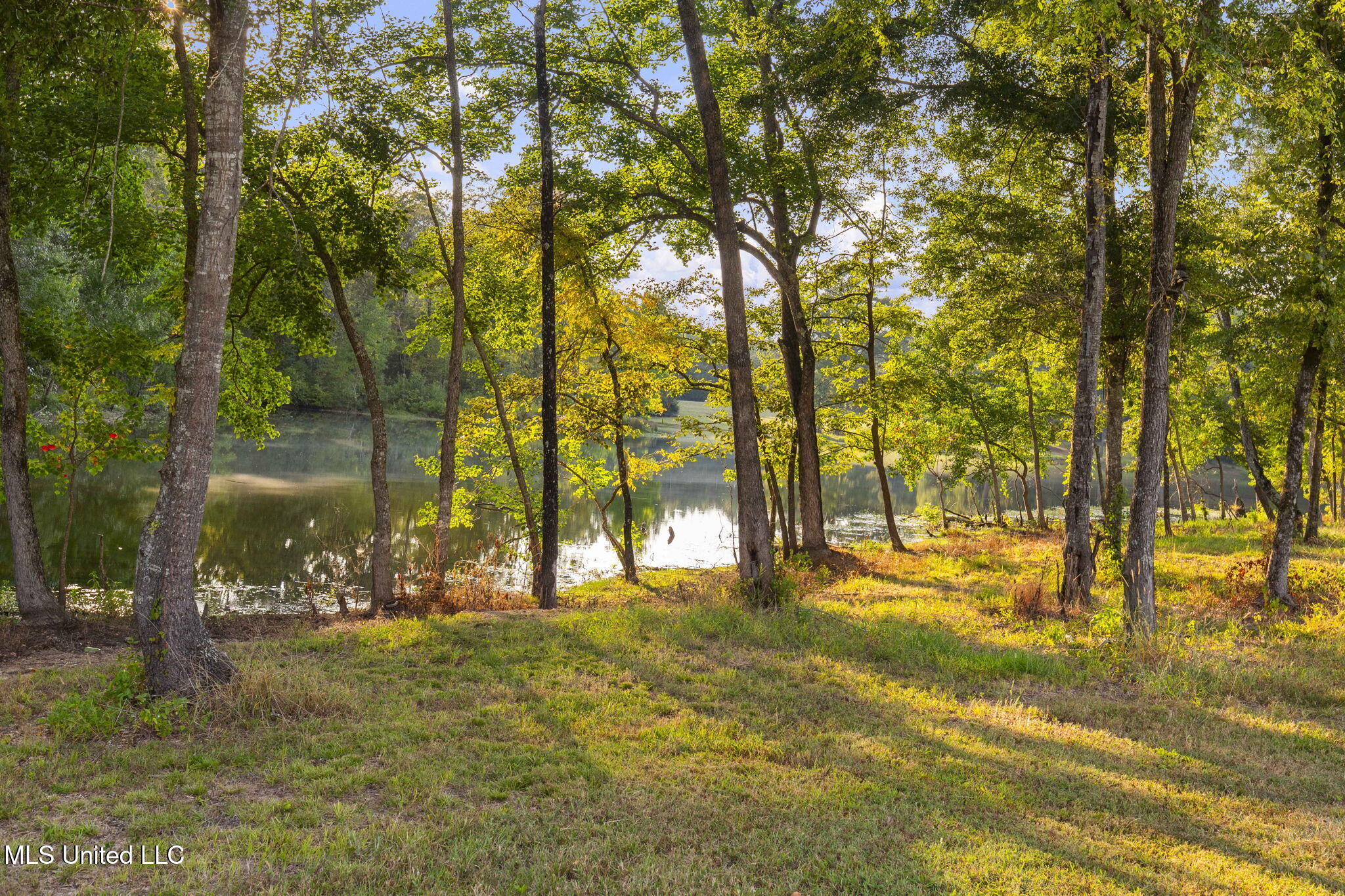 353 Flinco Farms Road Property Photo 85