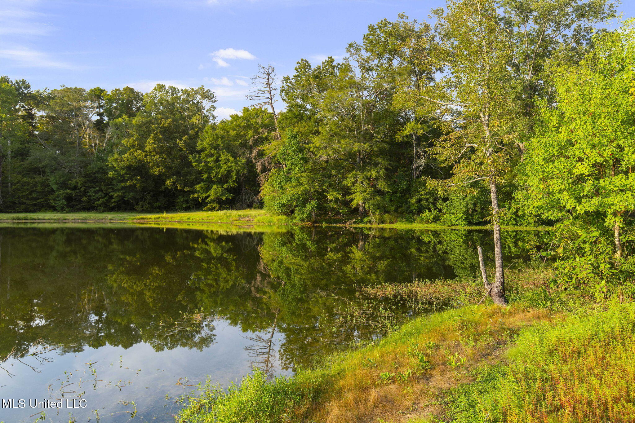 353 Flinco Farms Road Property Photo 86