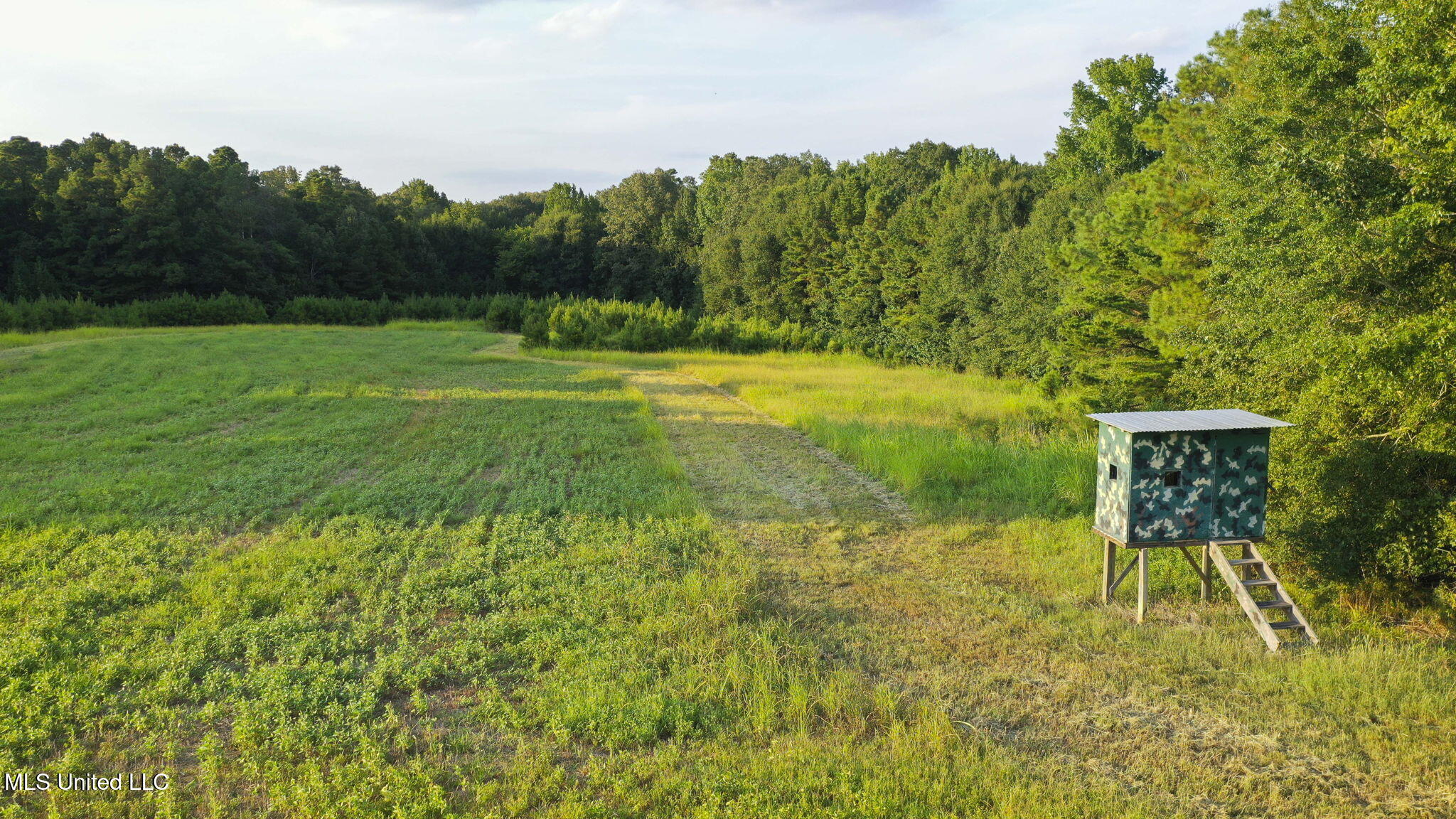 353 Flinco Farms Road Property Photo 95