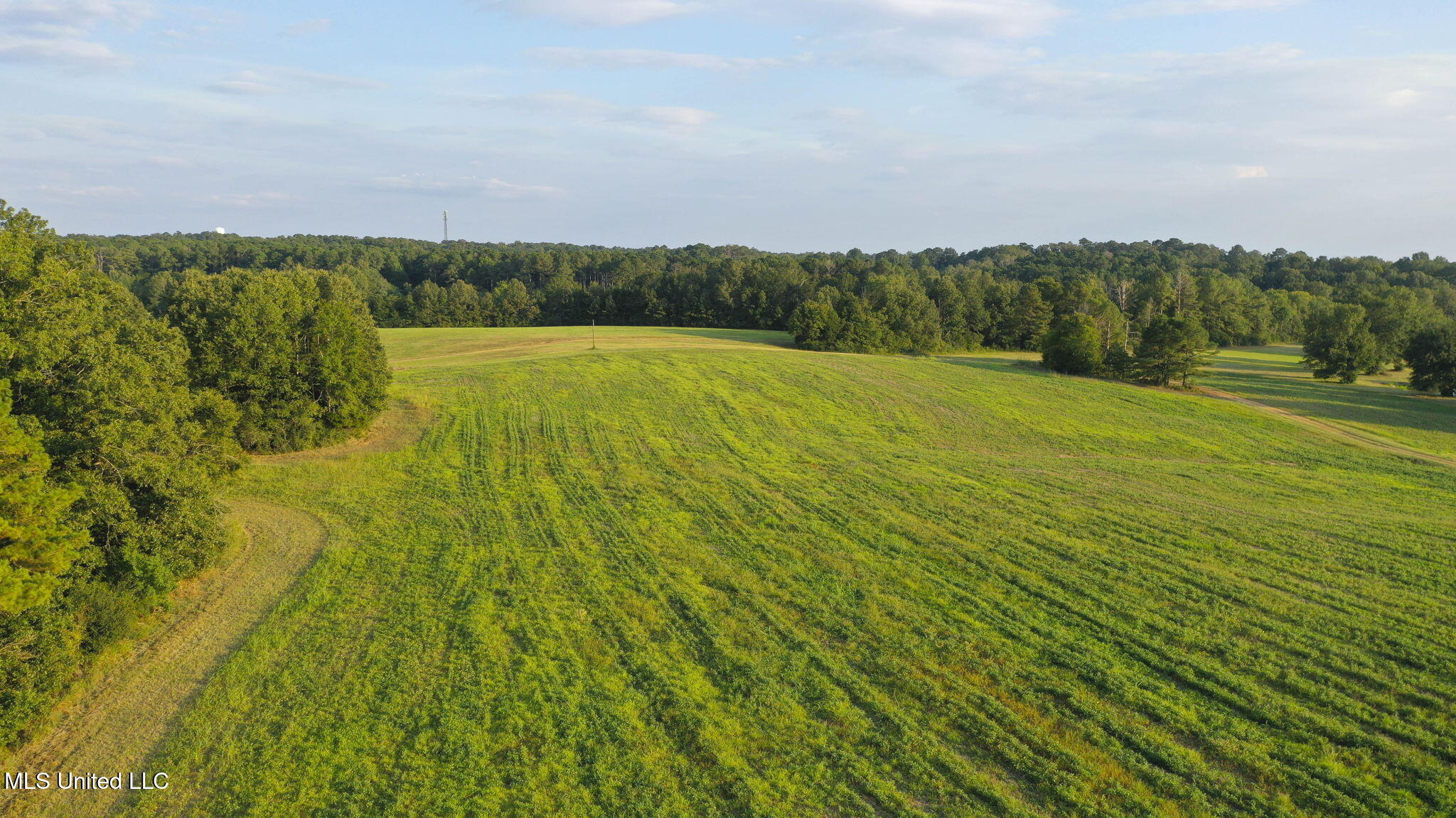 353 Flinco Farms Road Property Photo 96