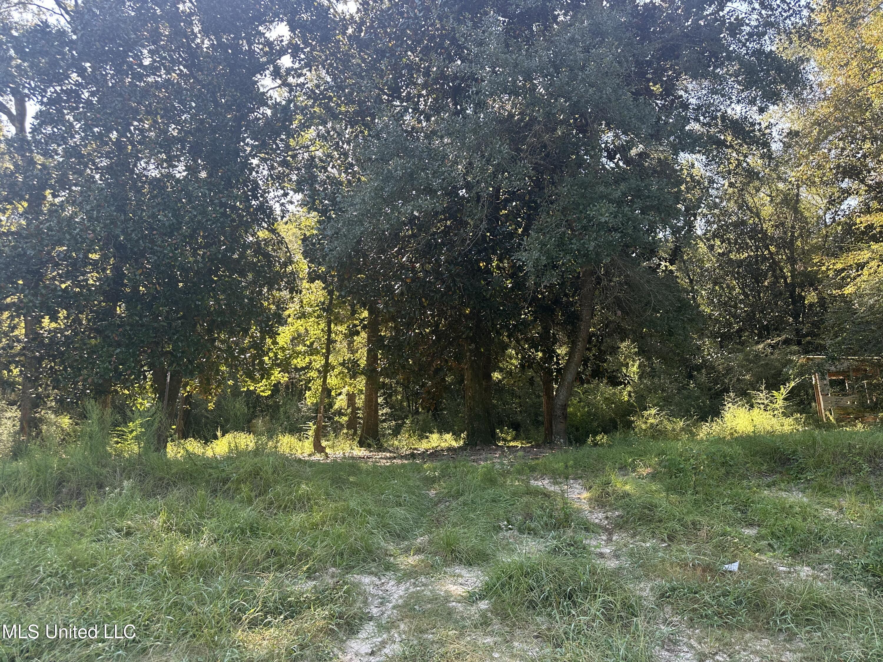 M M Cochran Road Property Photo 2