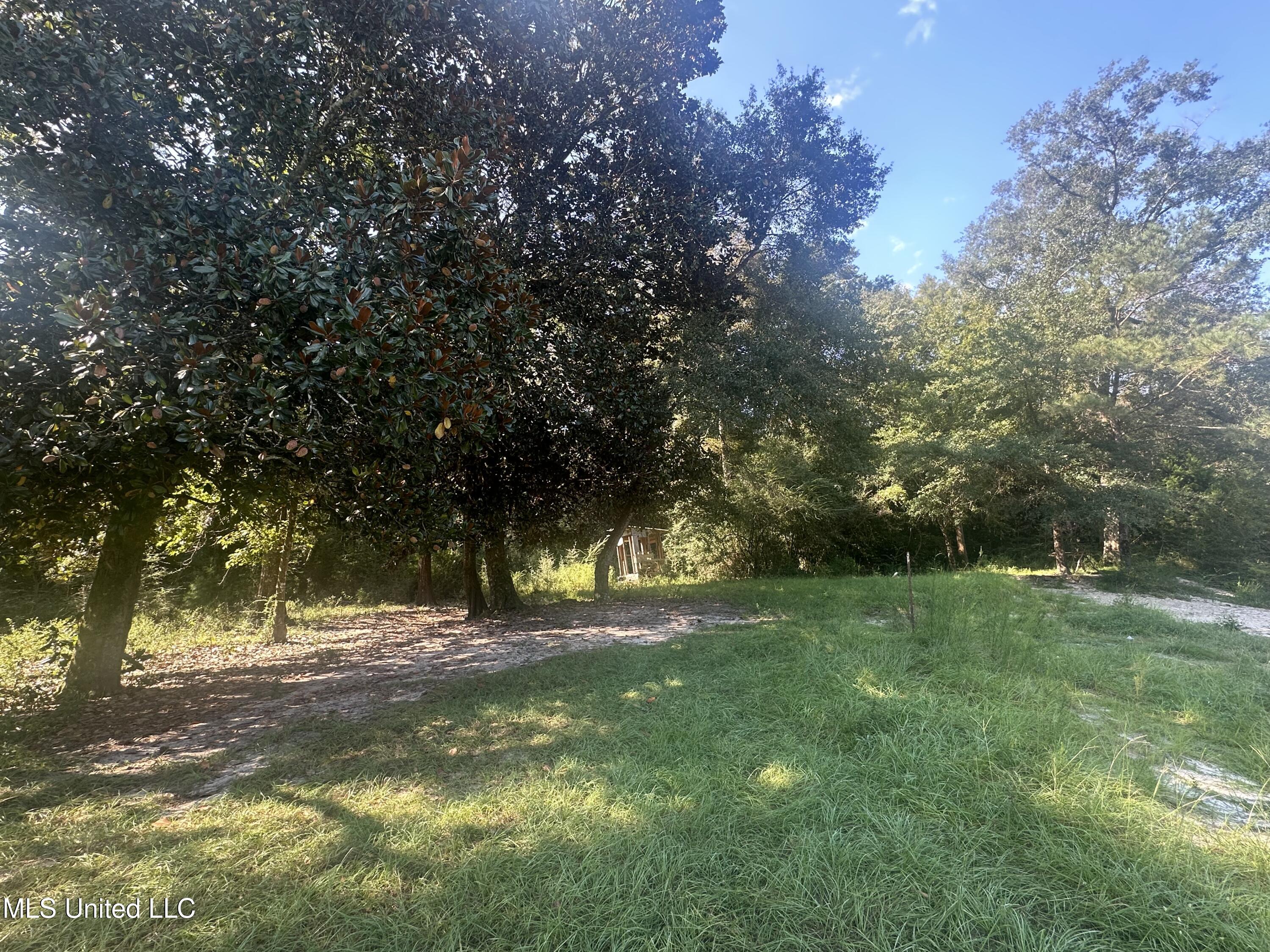 M M Cochran Road Property Photo 4