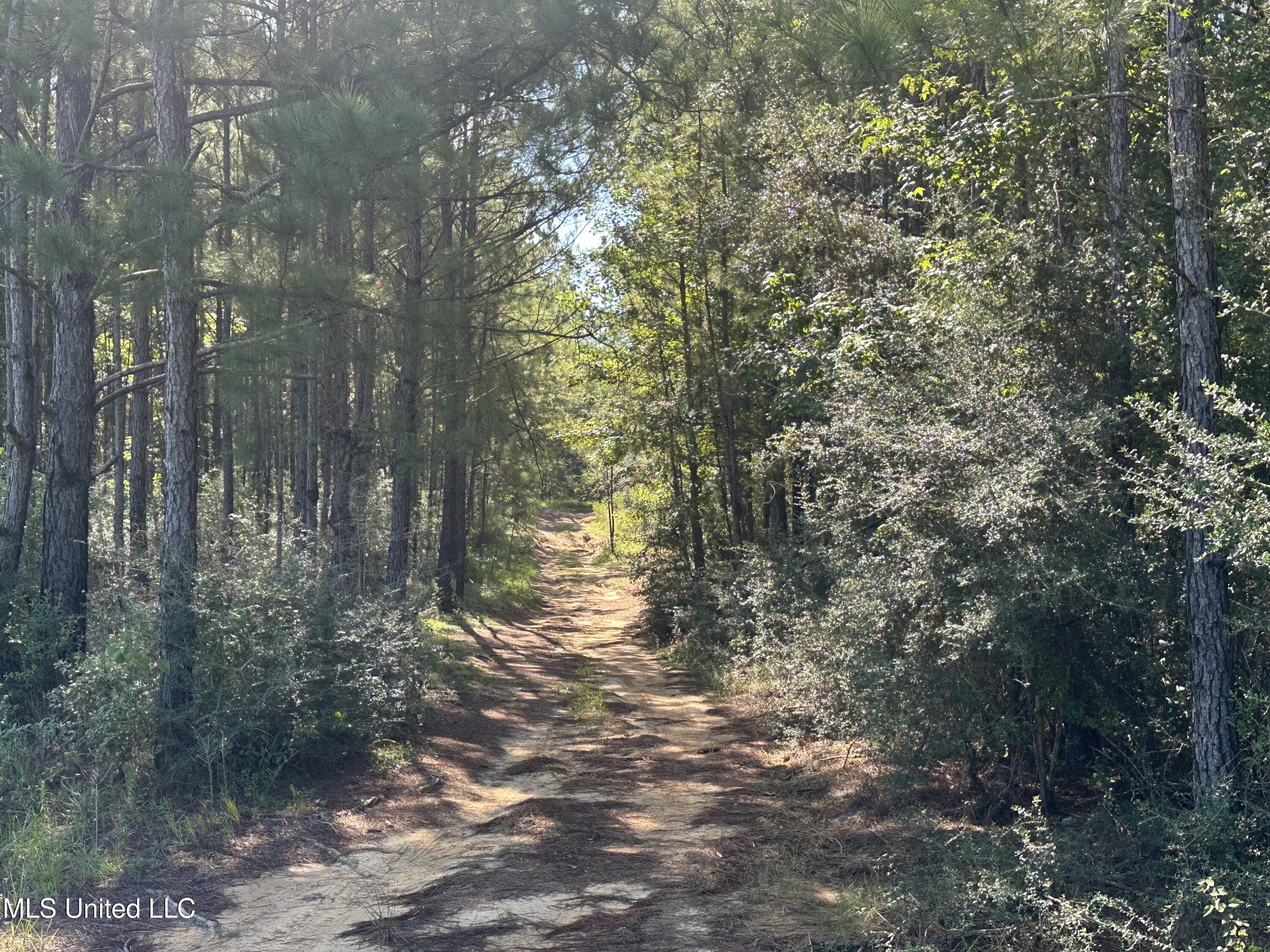 M M Cochran Road Property Photo 6