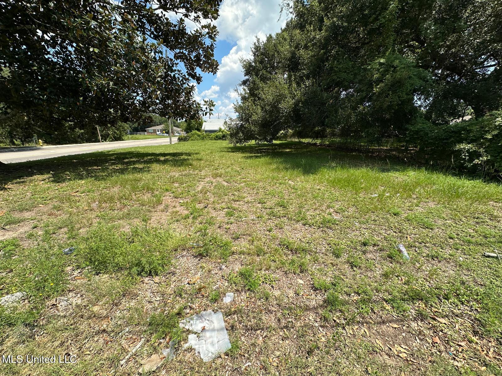 294 Kuhn Street Property Photo 2