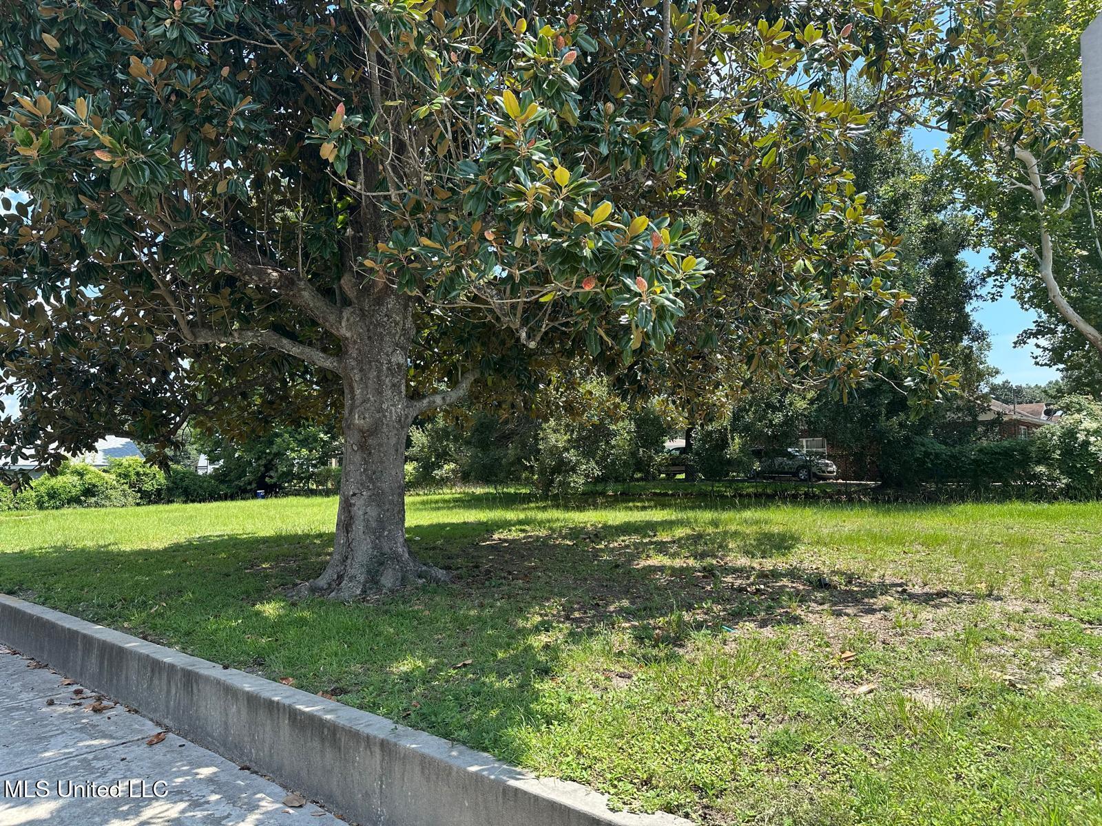 294 Kuhn Street Property Photo 3