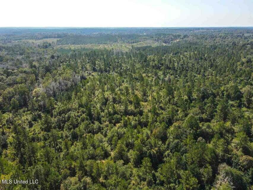 0 Highway 28 Property Photo 7