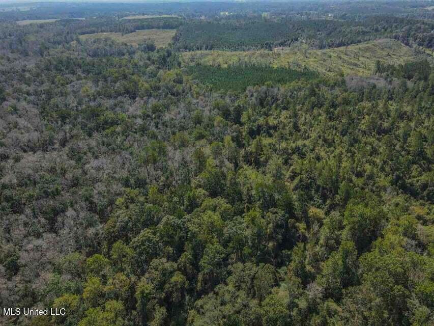 0 Highway 28 Property Photo 11