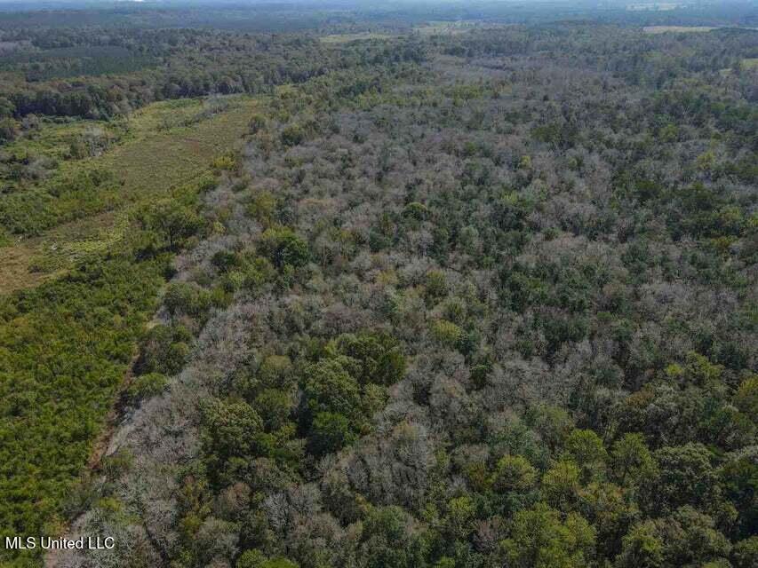 0 Highway 28 Property Photo 12
