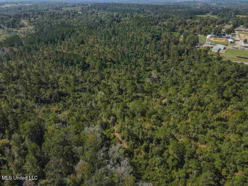 0 Highway 28 Property Photo 13
