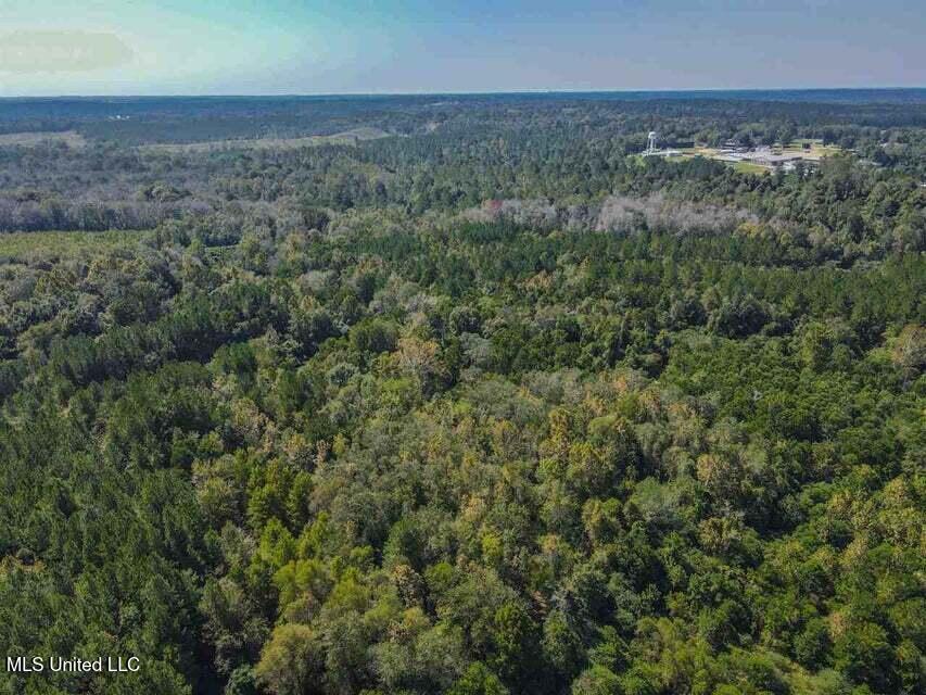0 Highway 28 Property Photo 17
