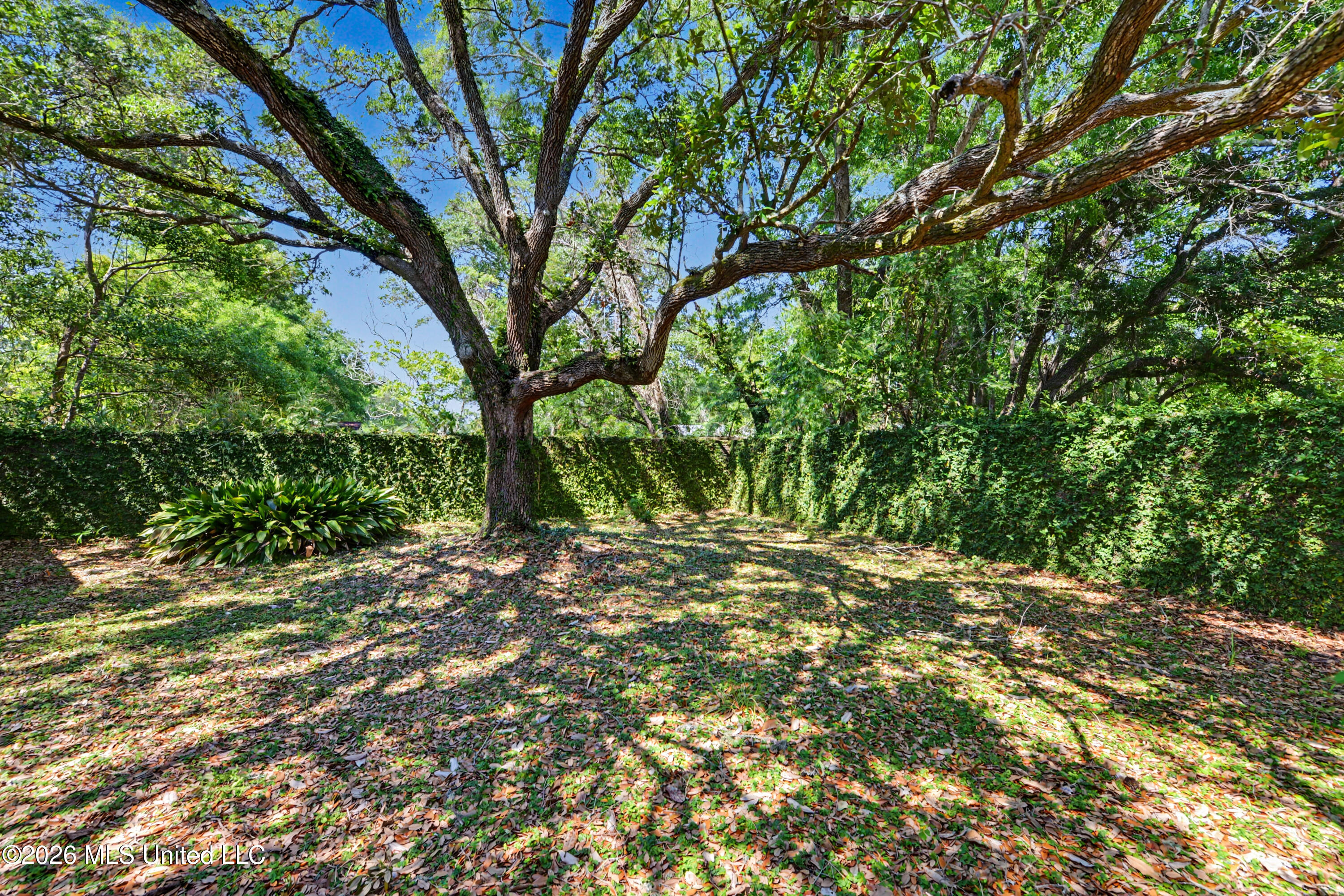 1040 Del Norte Circle Property Photo 24