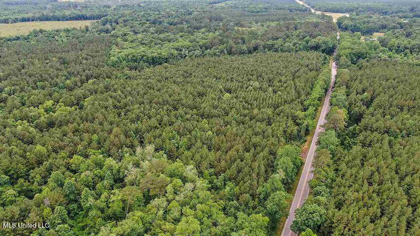 02 Highway 28 Property Photo 2