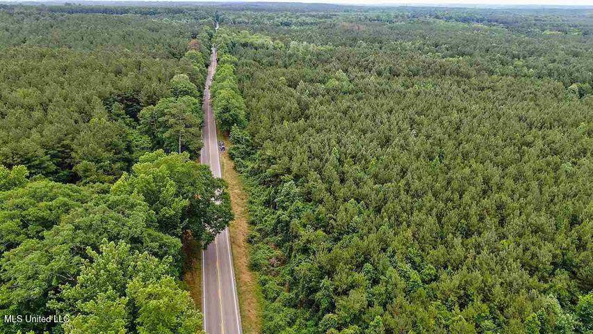 02 Highway 28 Property Photo 4