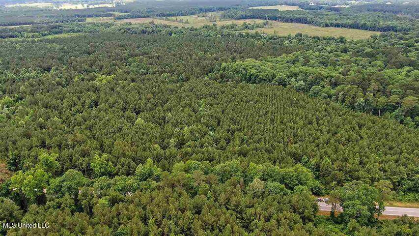 02 Highway 28 Property Photo 5